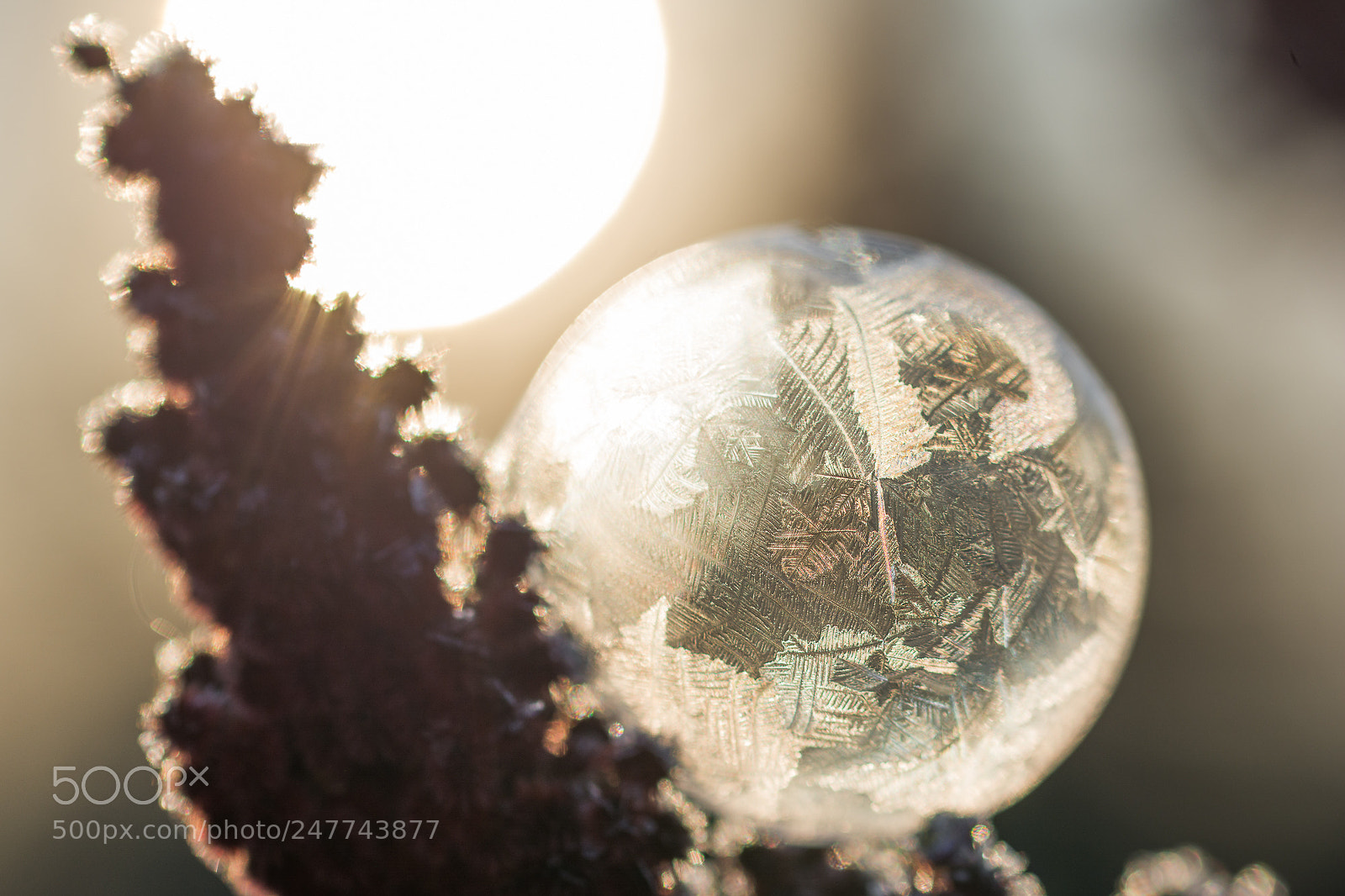 Nikon D7100 sample photo. Sunrise photography