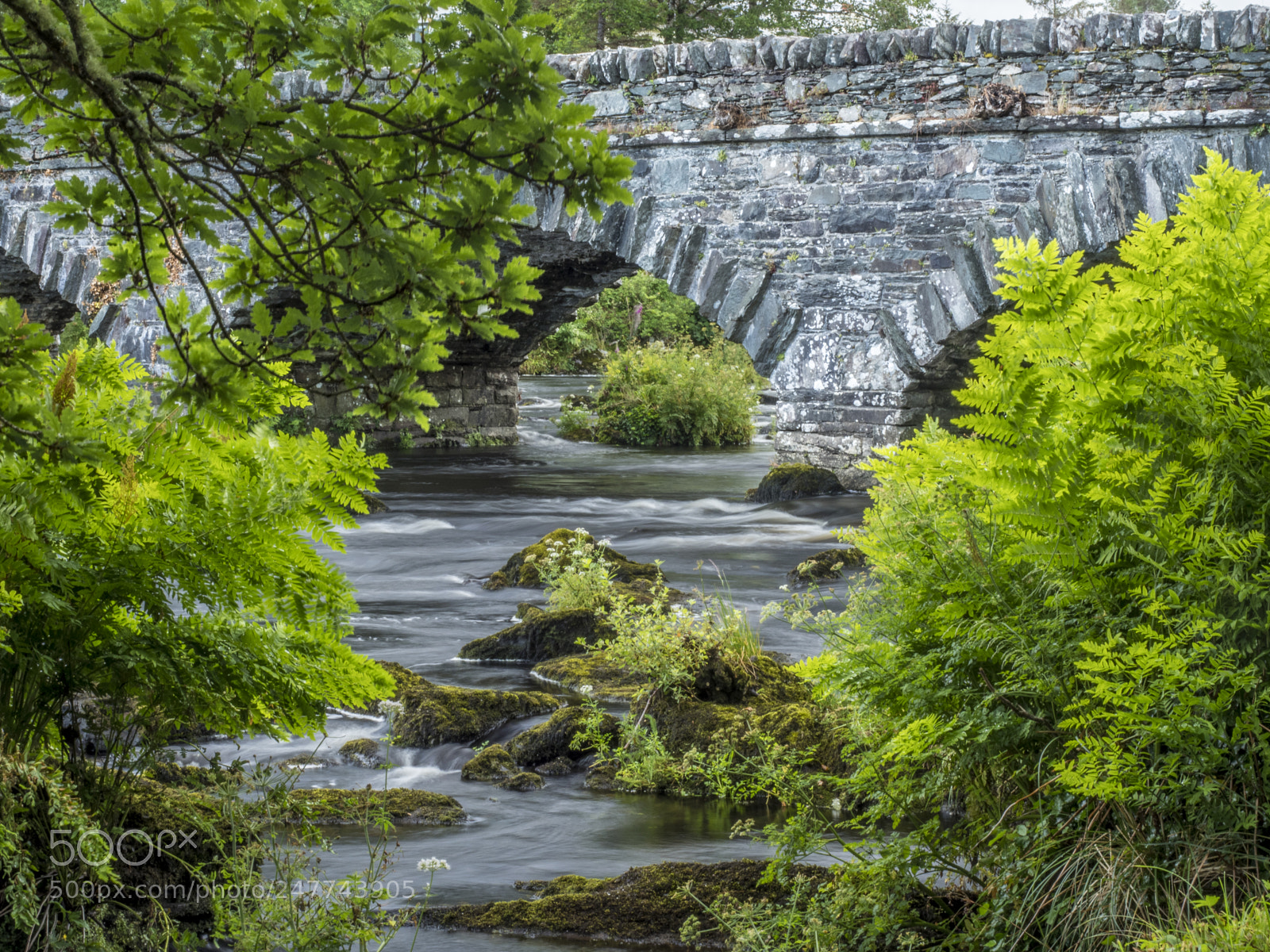 Olympus OM-D E-M1 Mark II sample photo. The old bridge at photography