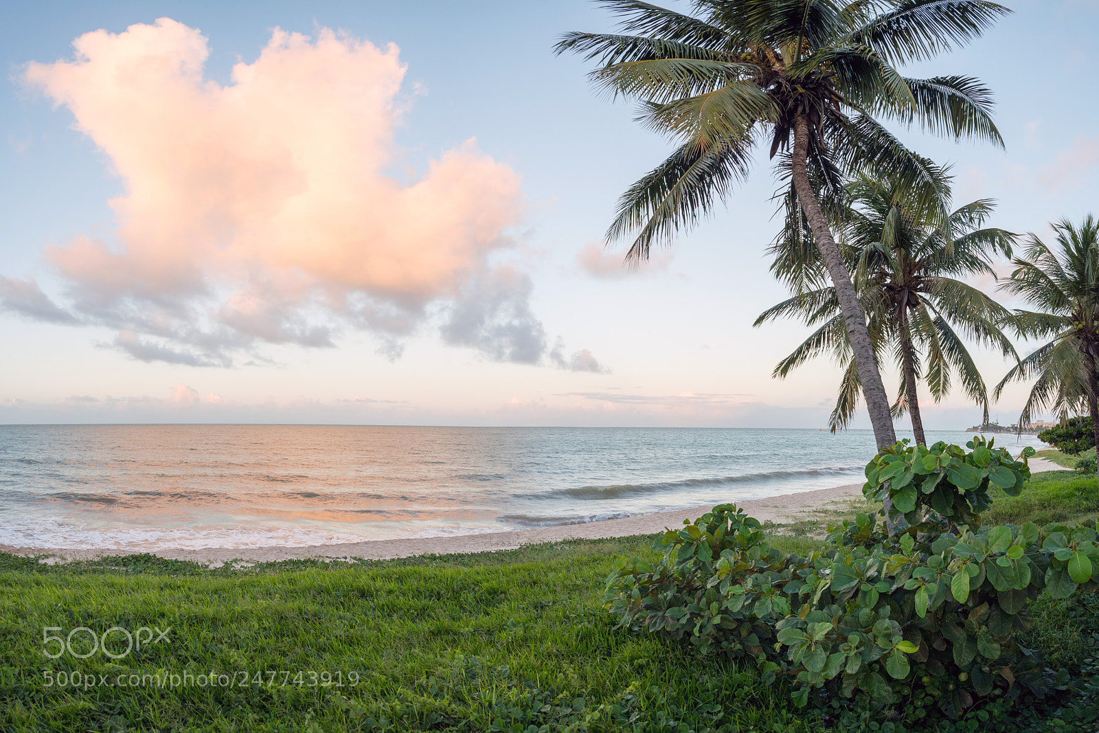 Nikon D800 sample photo. Brasil | joao pessoa photography