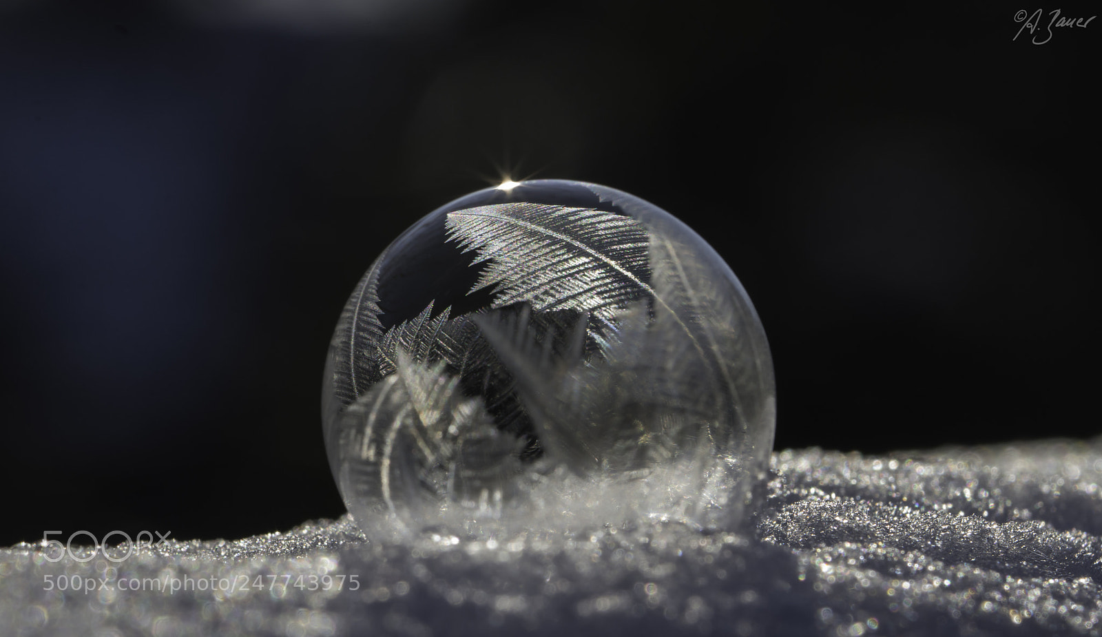 Nikon D7200 sample photo. Seifentraum photography