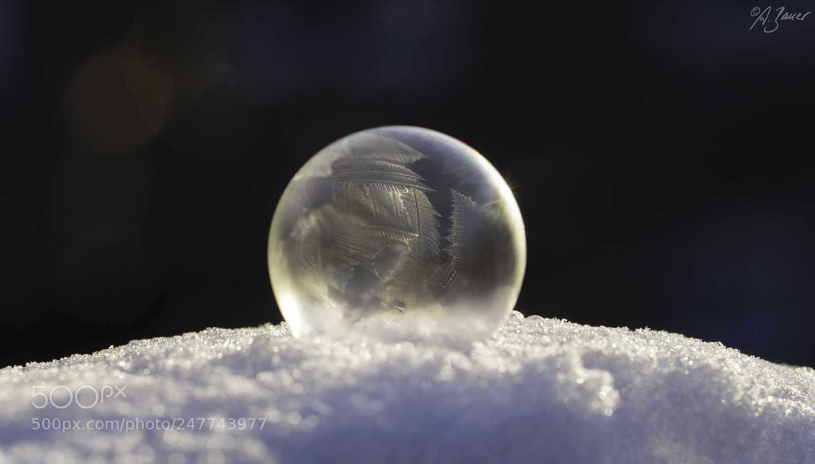 Nikon D7200 sample photo. Seifentraum photography
