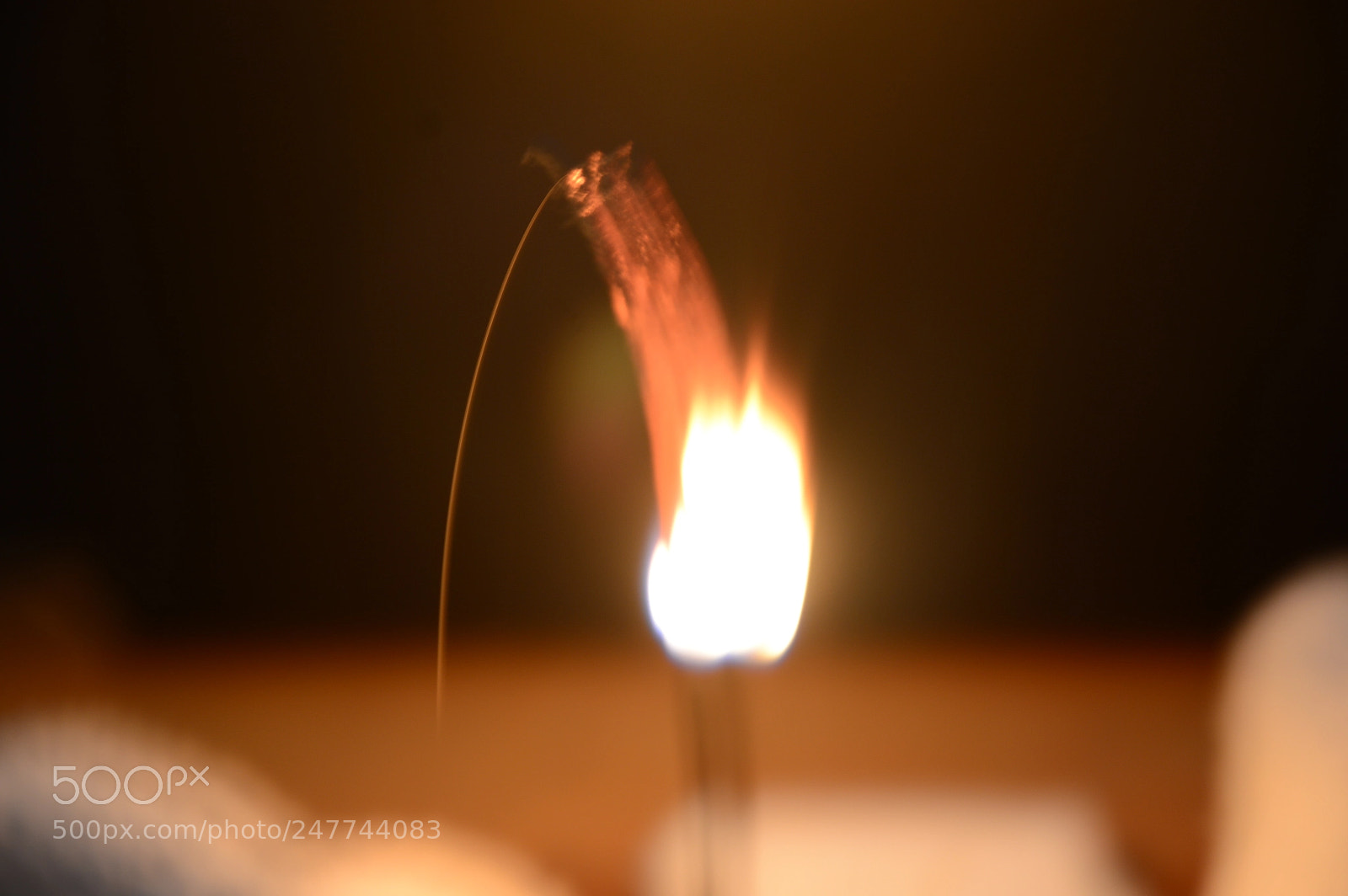 Nikon D3200 sample photo. Untitled photography