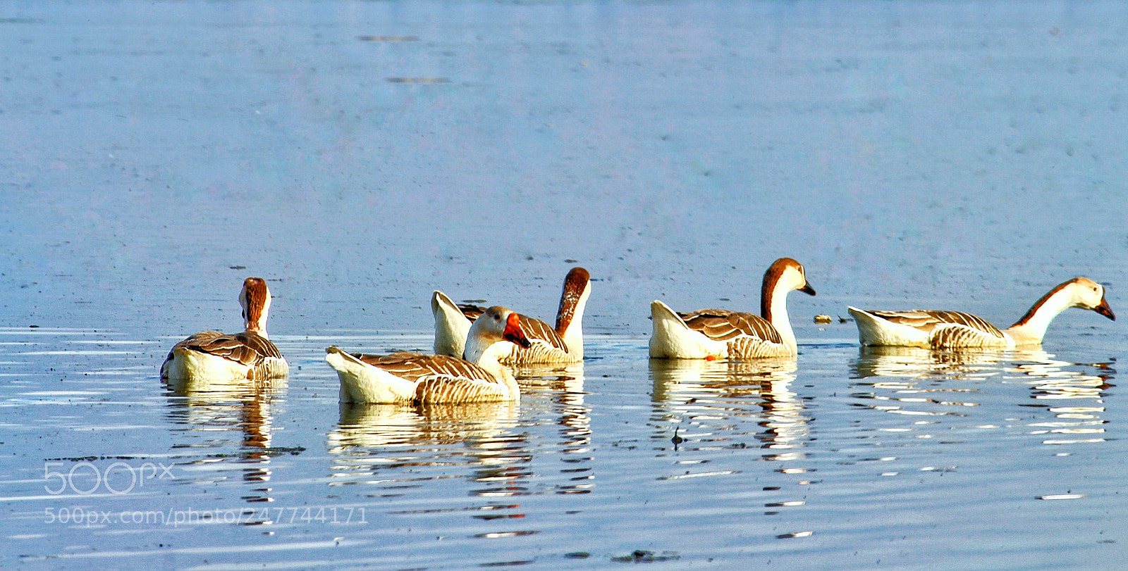 Canon EOS 700D (EOS Rebel T5i / EOS Kiss X7i) sample photo. Untitled photography