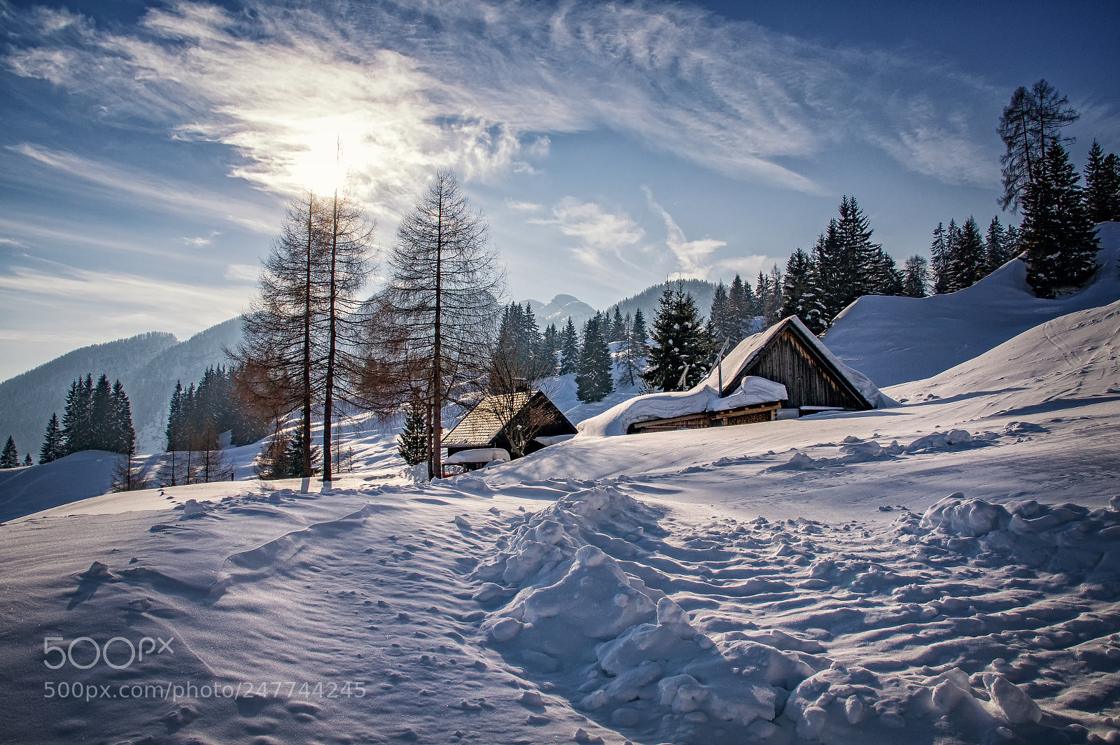 Sony SLT-A58 sample photo. Winterdream photography