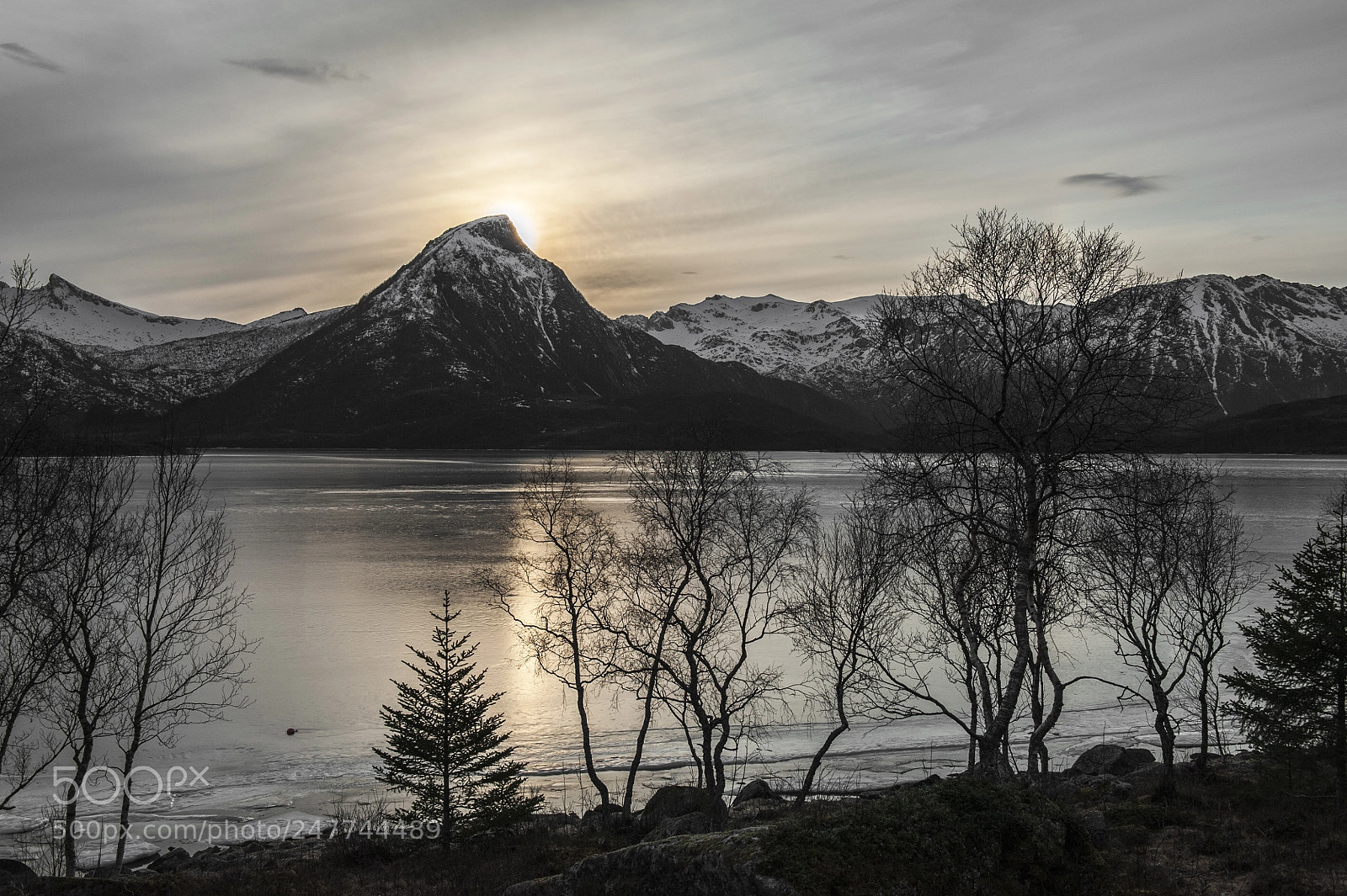 Nikon D700 sample photo. Lofoten photography