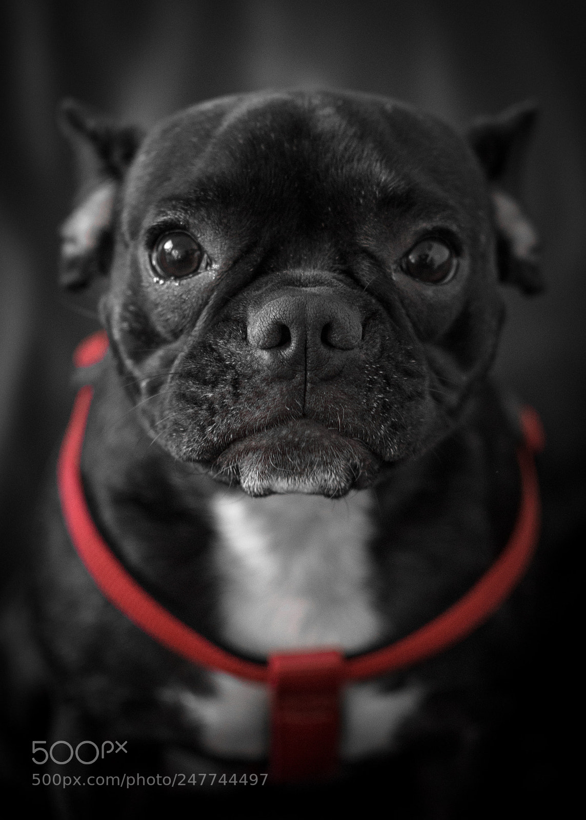 Nikon D7200 sample photo. Need something? photography