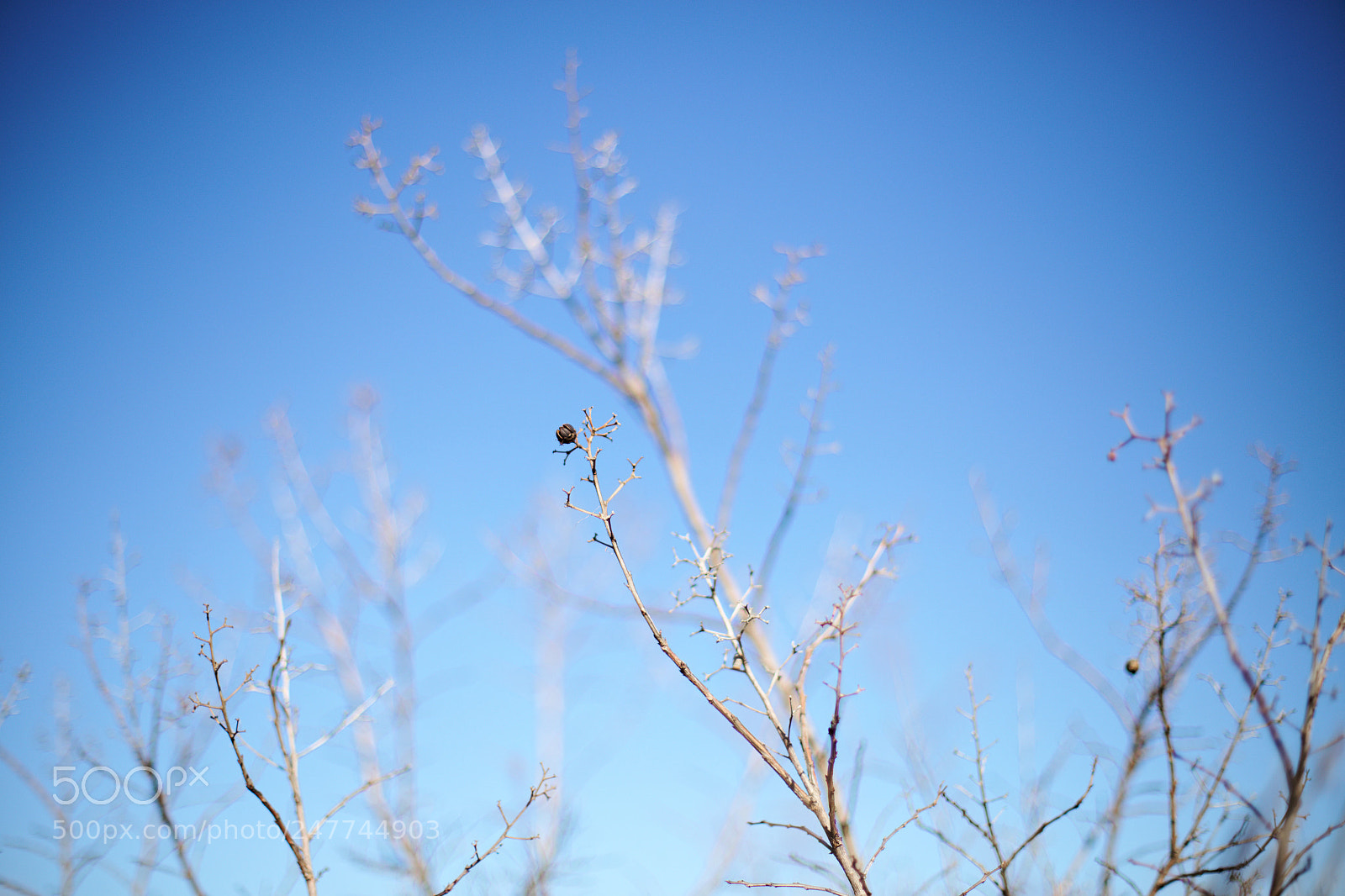 Canon EOS 6D + Canon EF 50mm F1.4 USM sample photo. The last day of photography