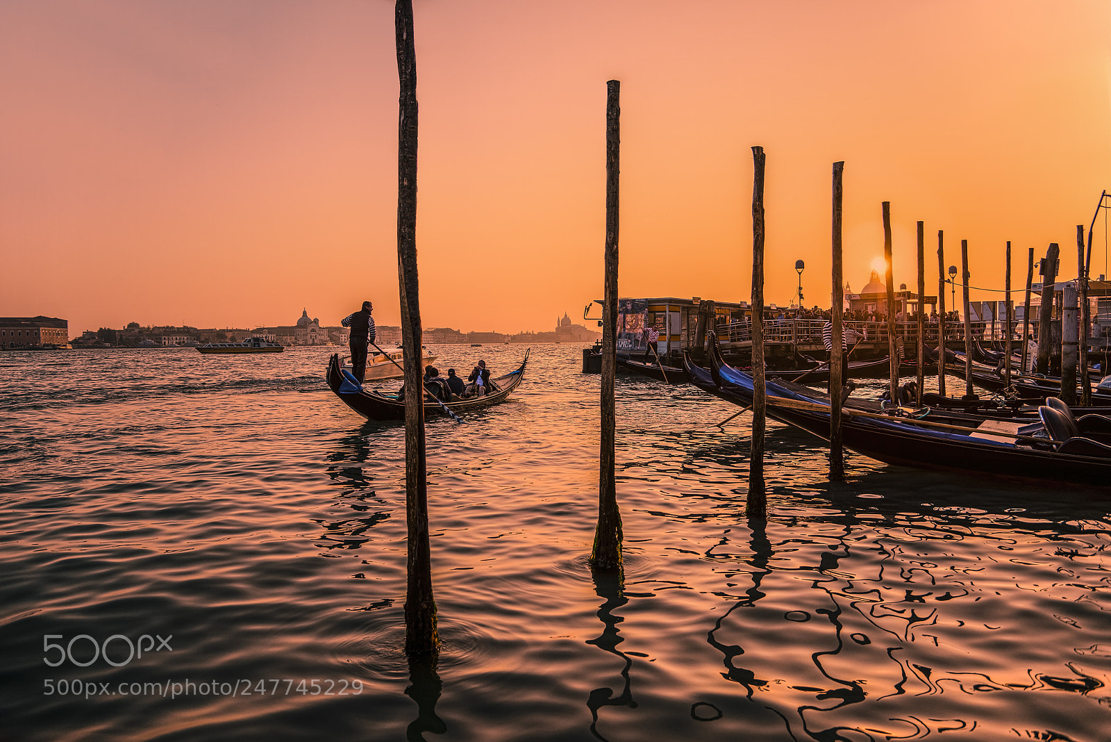 Nikon D800E sample photo. Venice gondolas px mm photography