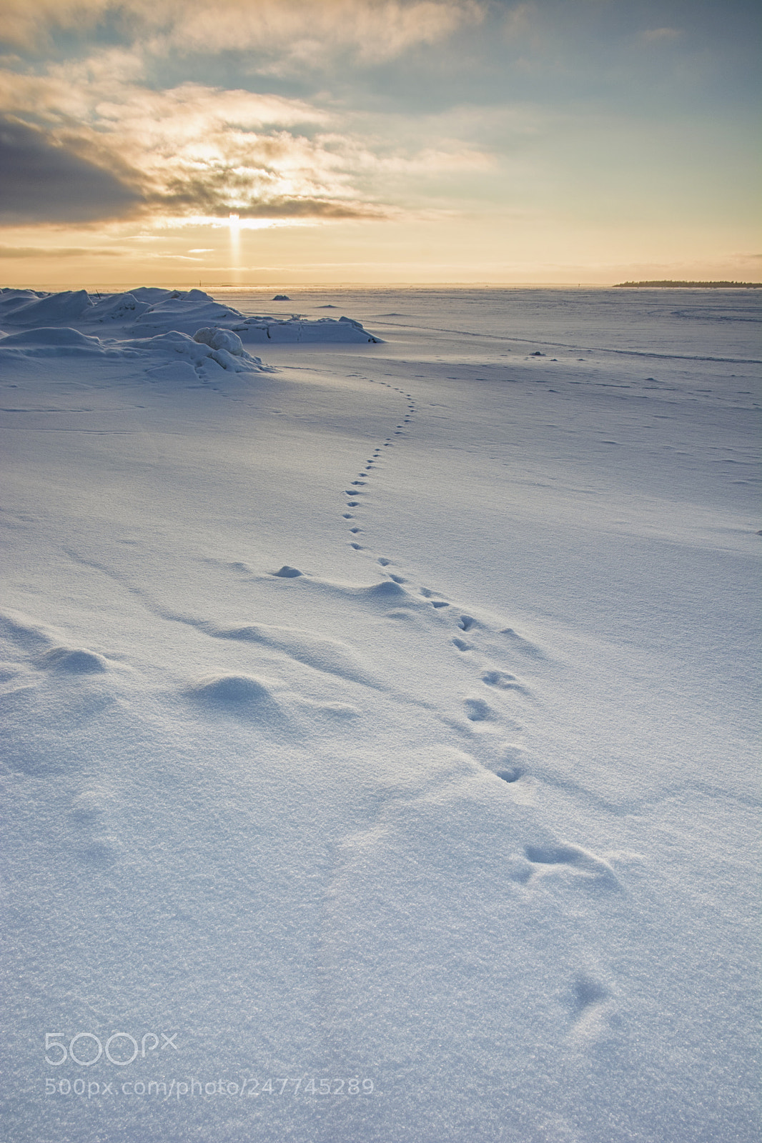 Nikon D5200 sample photo. Tracks photography