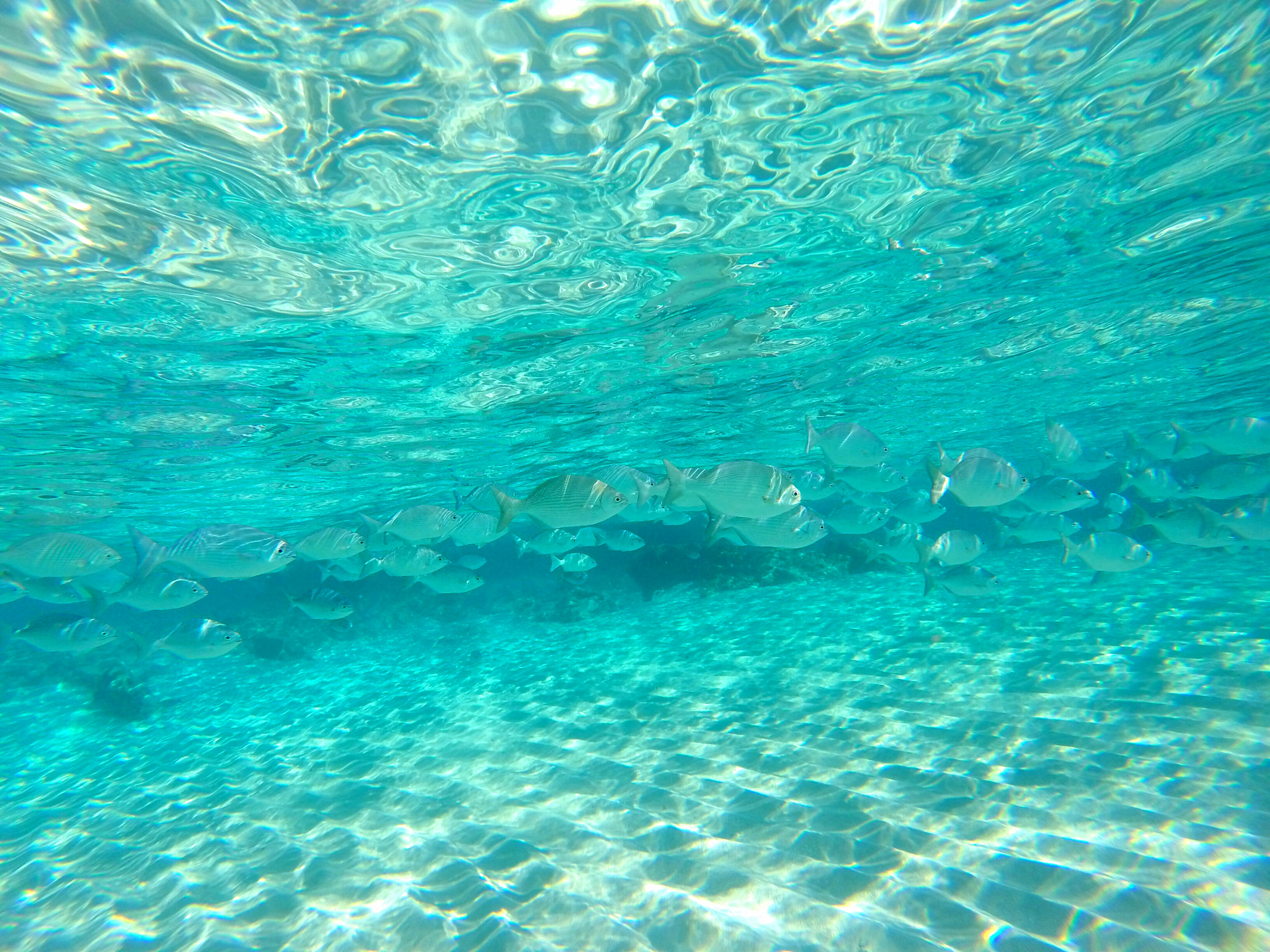 GoPro HERO3+ Black Edition sample photo