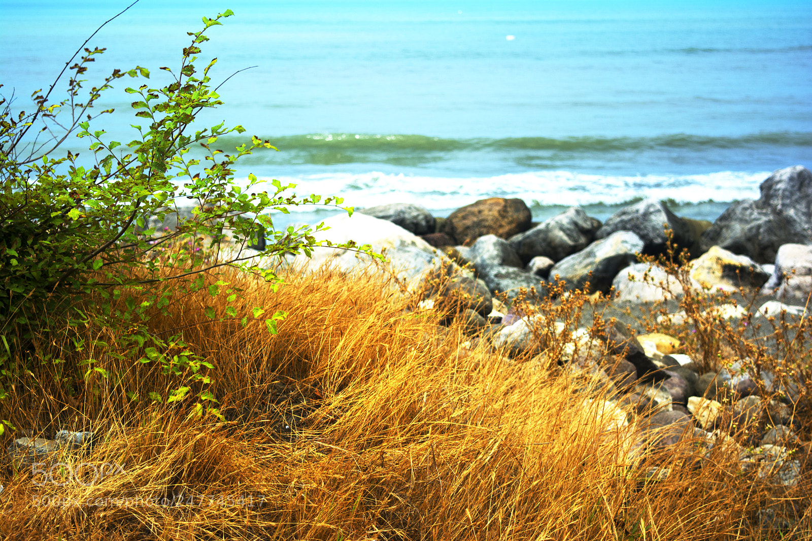 Nikon D7100 sample photo. Paradise scene photography