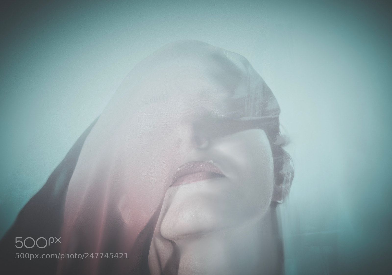 Nikon D610 sample photo. Untitled photography