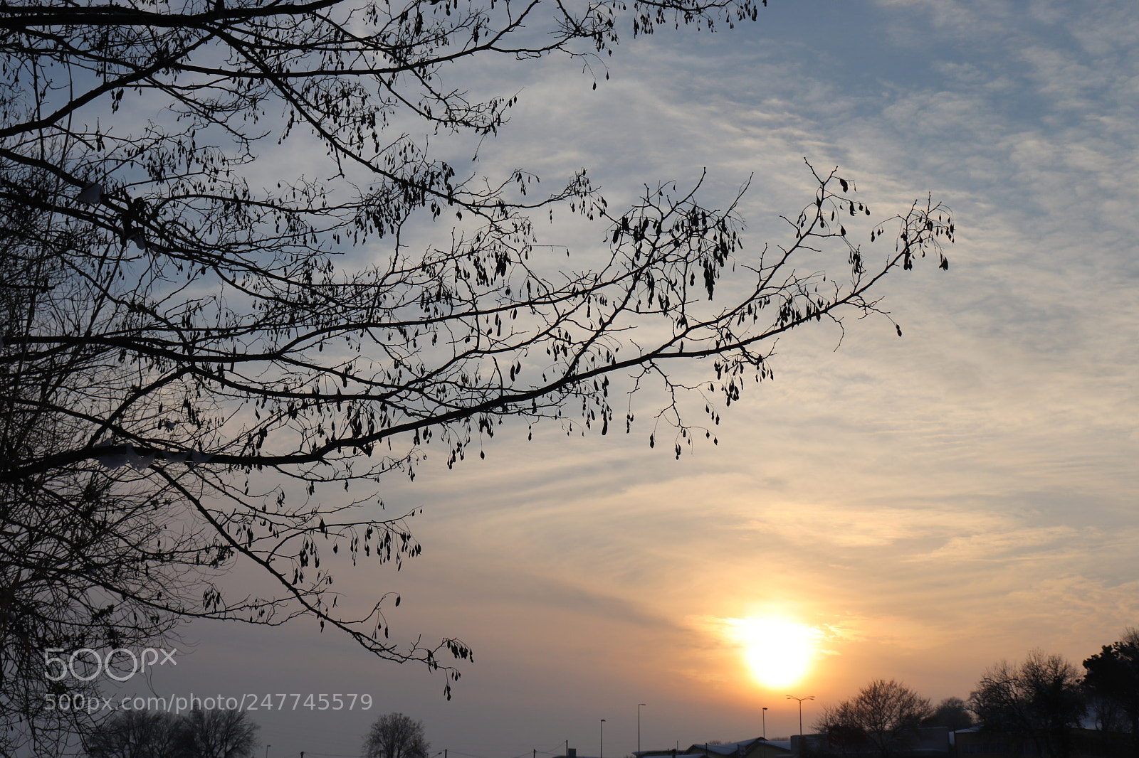 Canon EOS 200D (EOS Rebel SL2 / EOS Kiss X9) sample photo. Sunset. photography