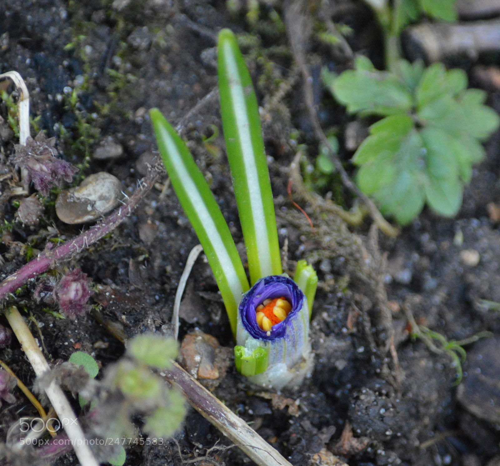 Nikon D3200 sample photo. Dsc photography