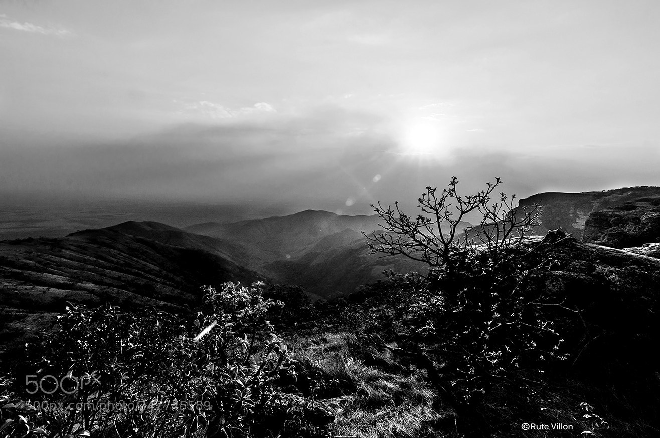 Nikon D90 sample photo. Untitled photography