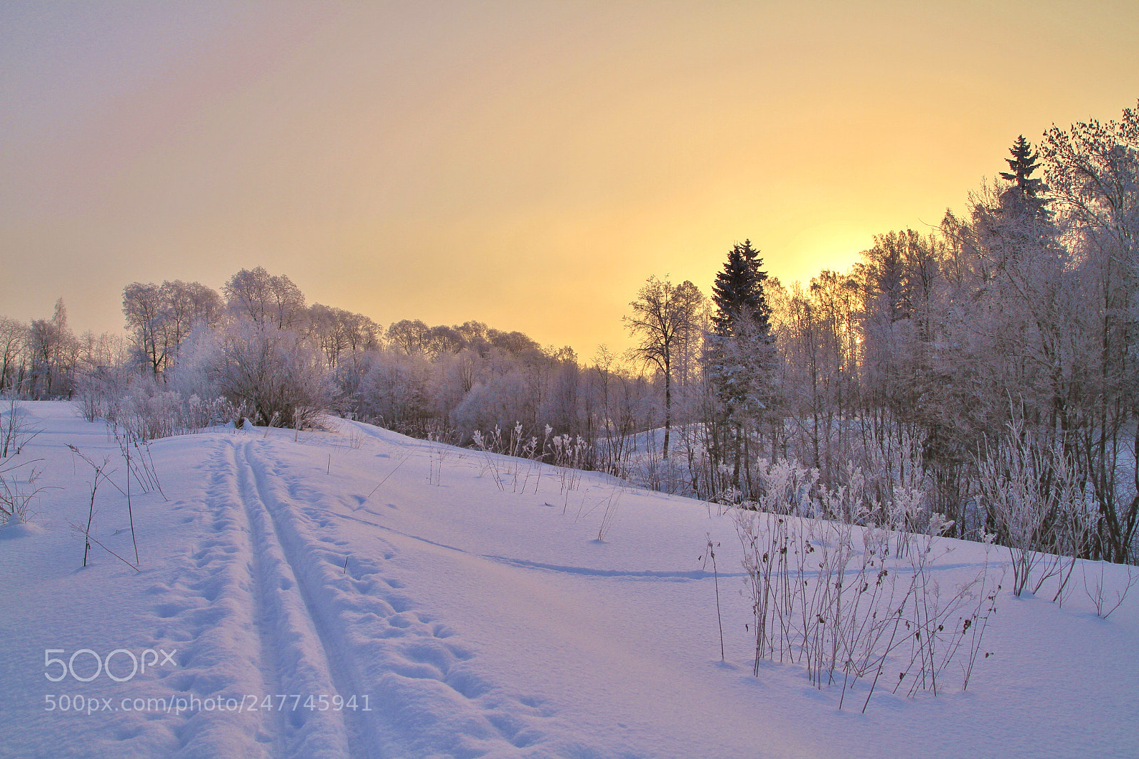 Canon EOS 7D sample photo. Восход солнца photography