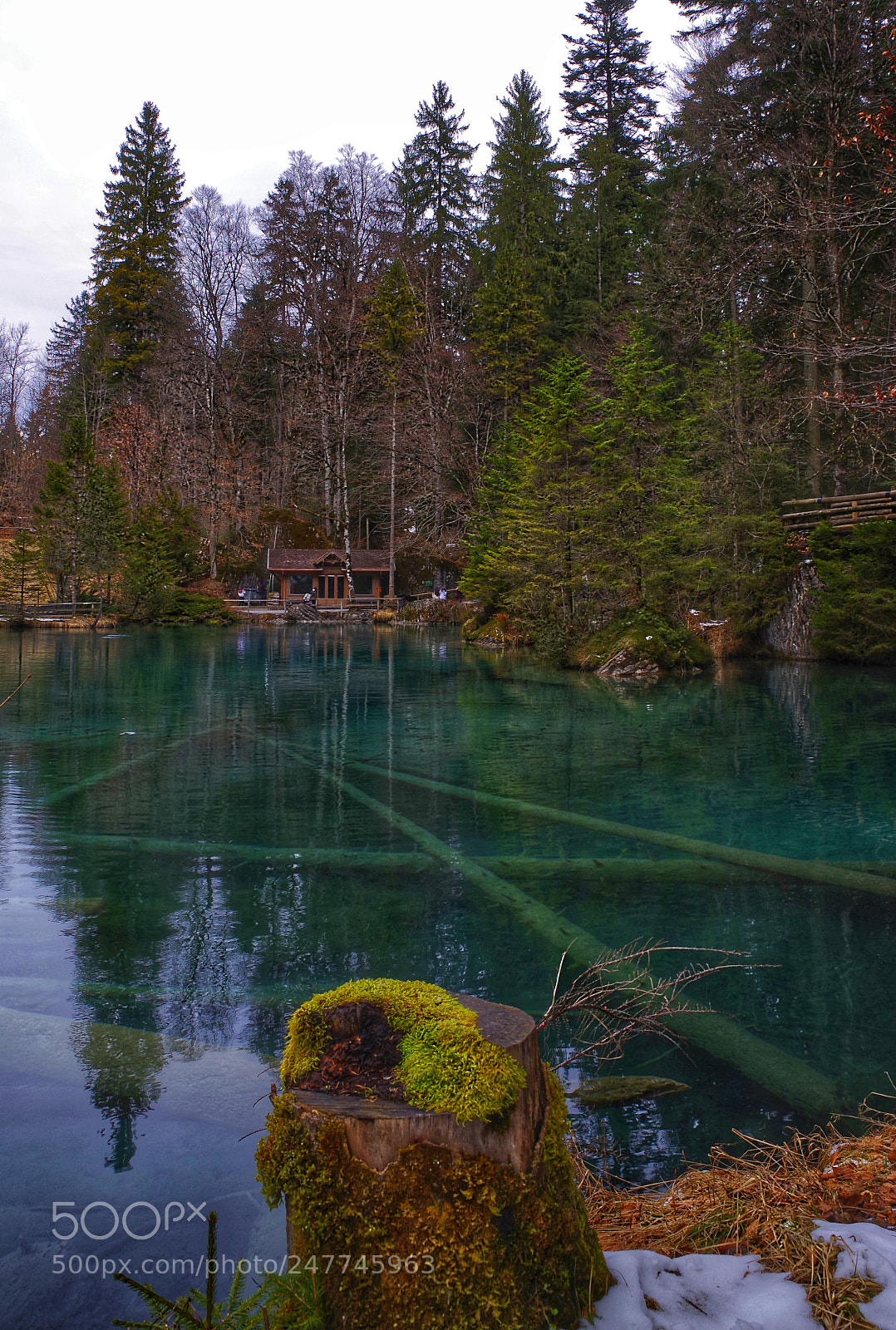 Pentax K-1 sample photo. Blausee photography
