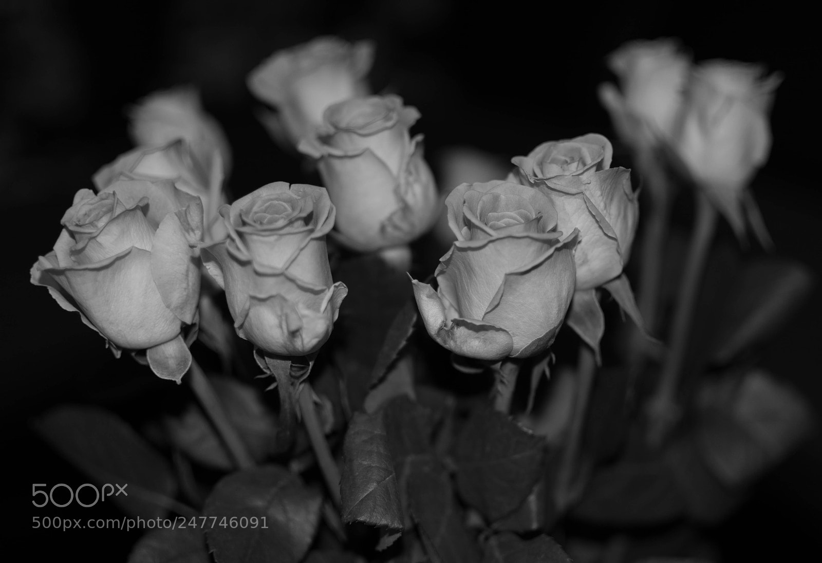 Nikon D5200 sample photo. Untitled photography