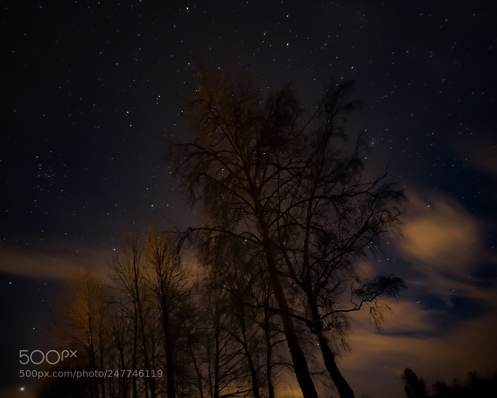 Canon EOS 60D sample photo. Stars photography