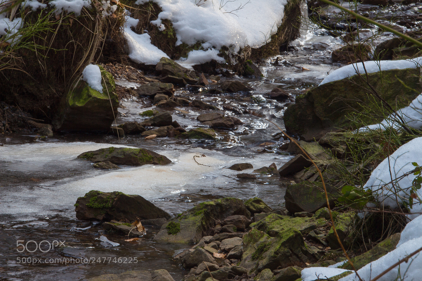 Canon EOS 700D (EOS Rebel T5i / EOS Kiss X7i) sample photo. Frozen stream photography