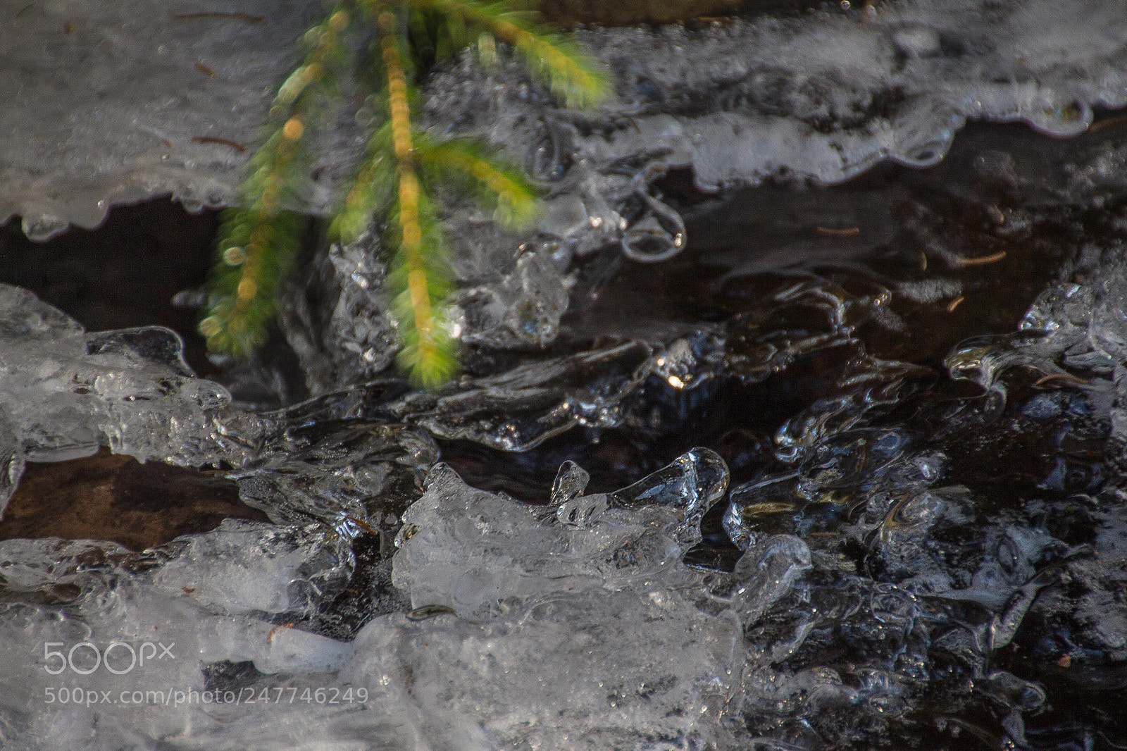 Canon EOS 700D (EOS Rebel T5i / EOS Kiss X7i) sample photo. Frozen stream photography
