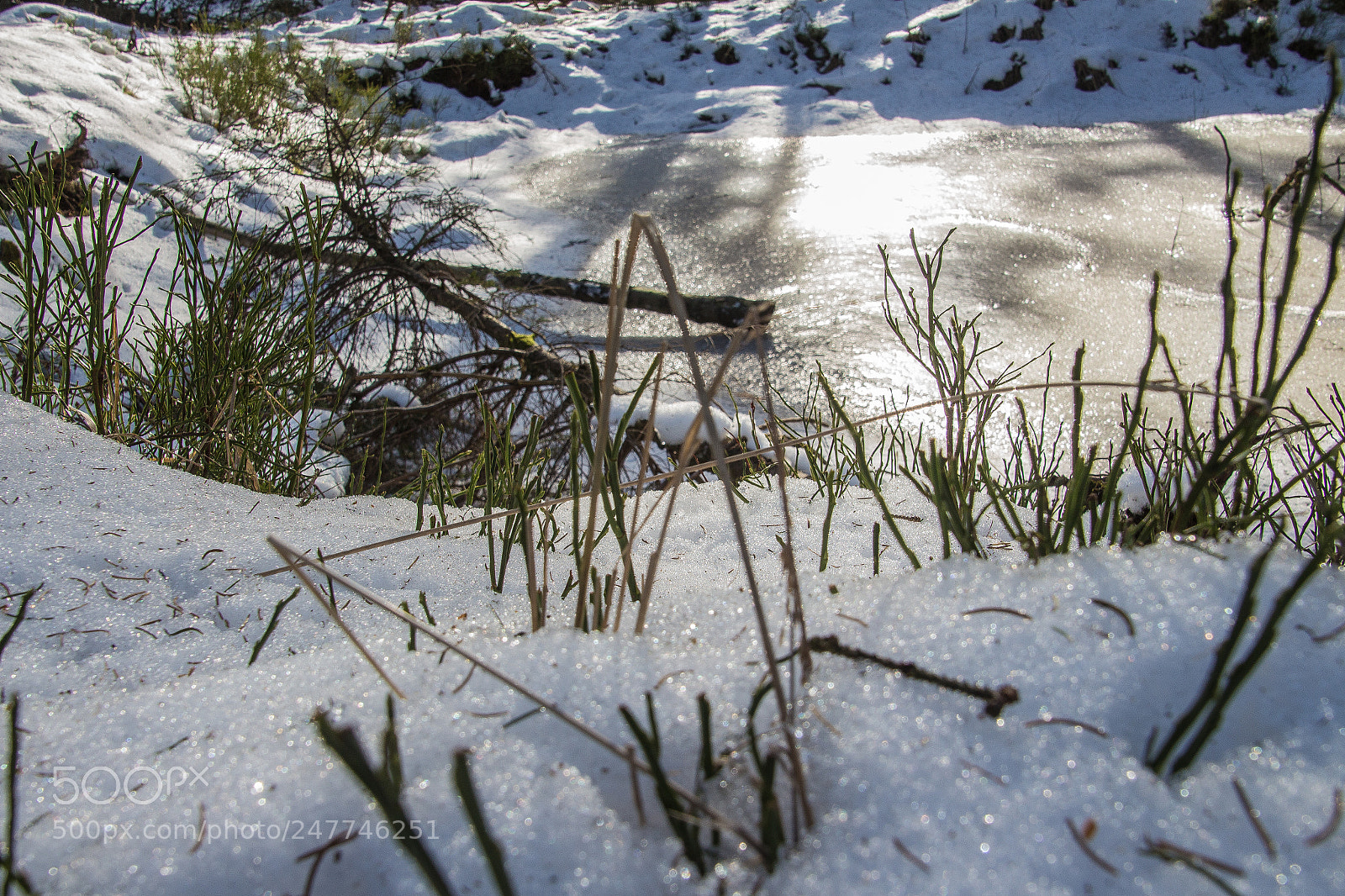 Canon EOS 700D (EOS Rebel T5i / EOS Kiss X7i) sample photo. Frozen stream photography