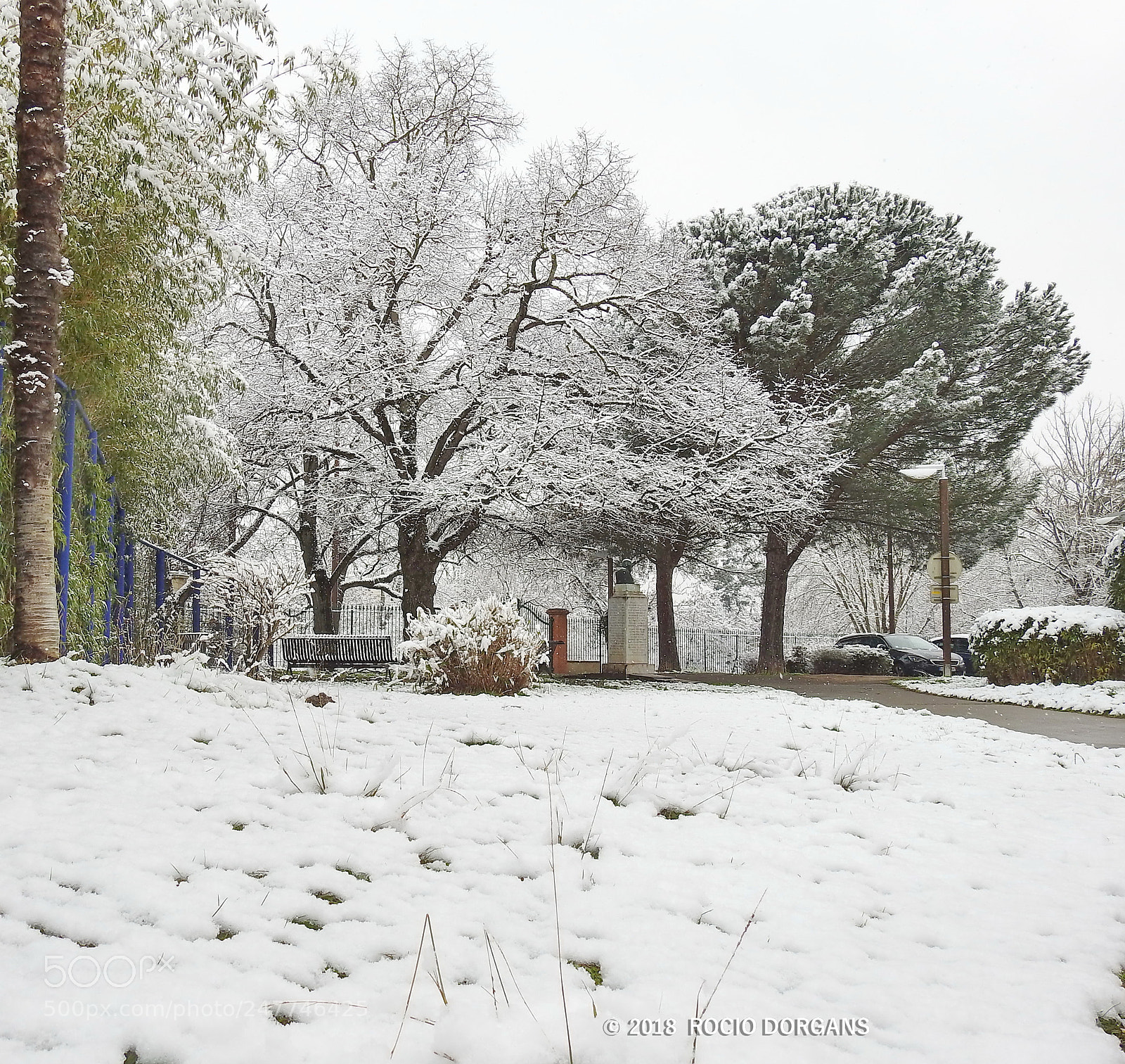 Nikon Coolpix P900 sample photo. Snow photography