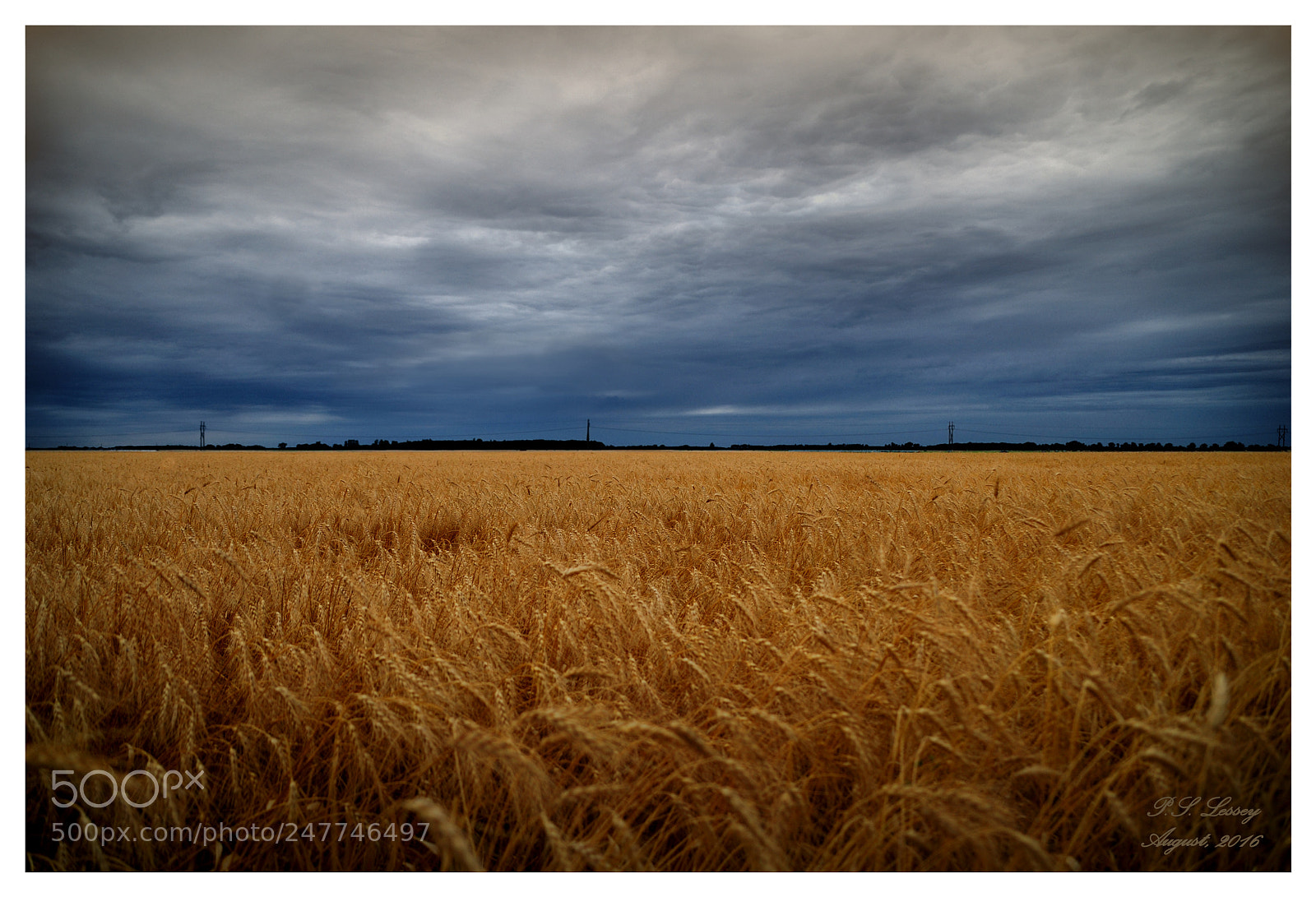 Nikon D200 sample photo. Big sky country photography