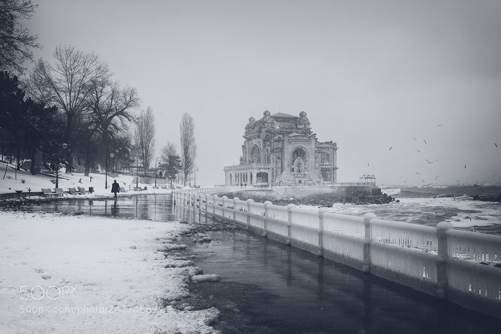 Nikon D7100 sample photo. I am winter photography