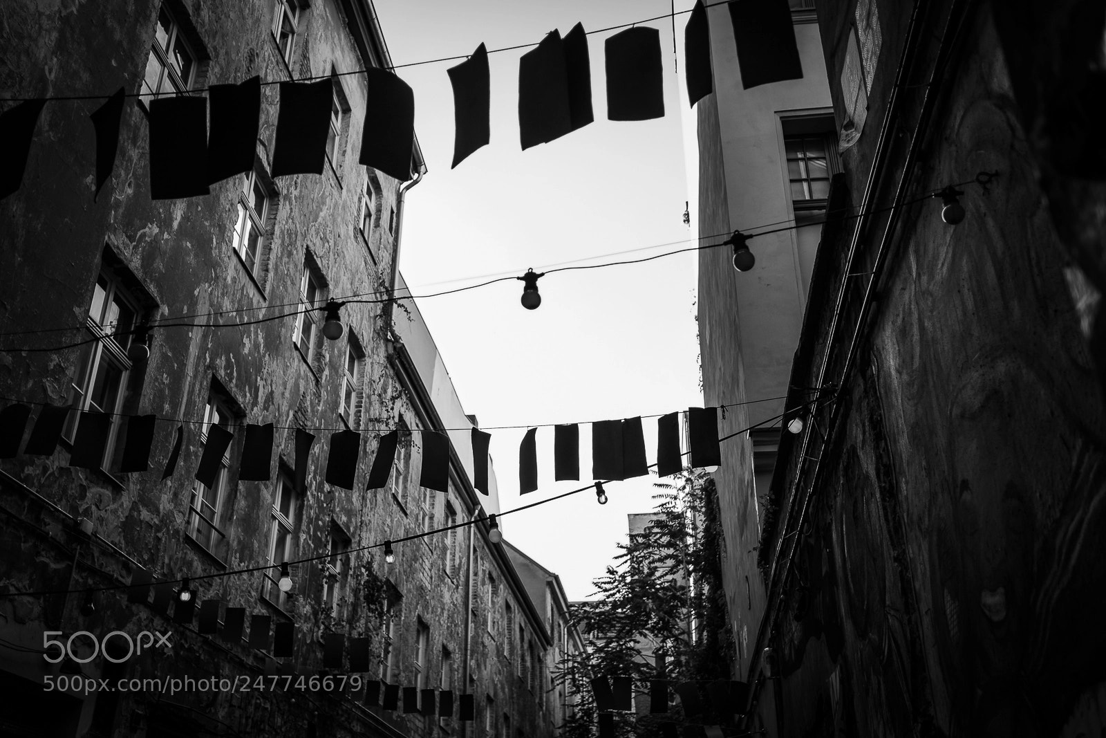 Fujifilm X-T20 sample photo. Untitled photography