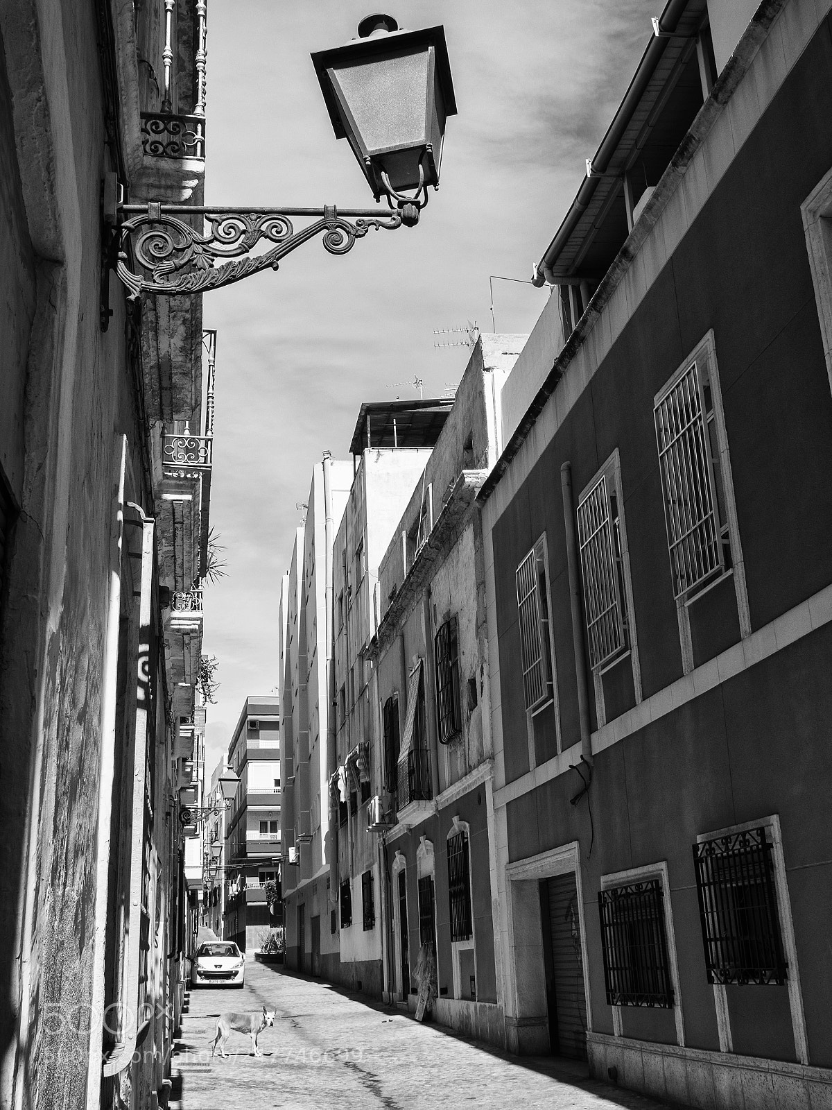 Olympus OM-D E-M1 sample photo. Almer a street lamps photography