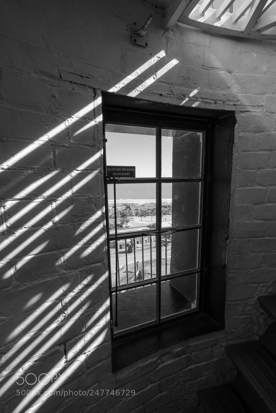 Fujifilm X-T2 sample photo. Under the lens photography