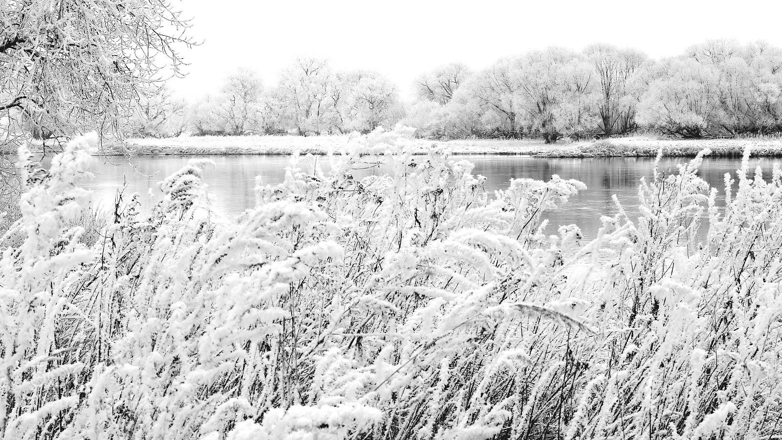 Canon EOS 760D (EOS Rebel T6s / EOS 8000D) sample photo. Winter at the river photography