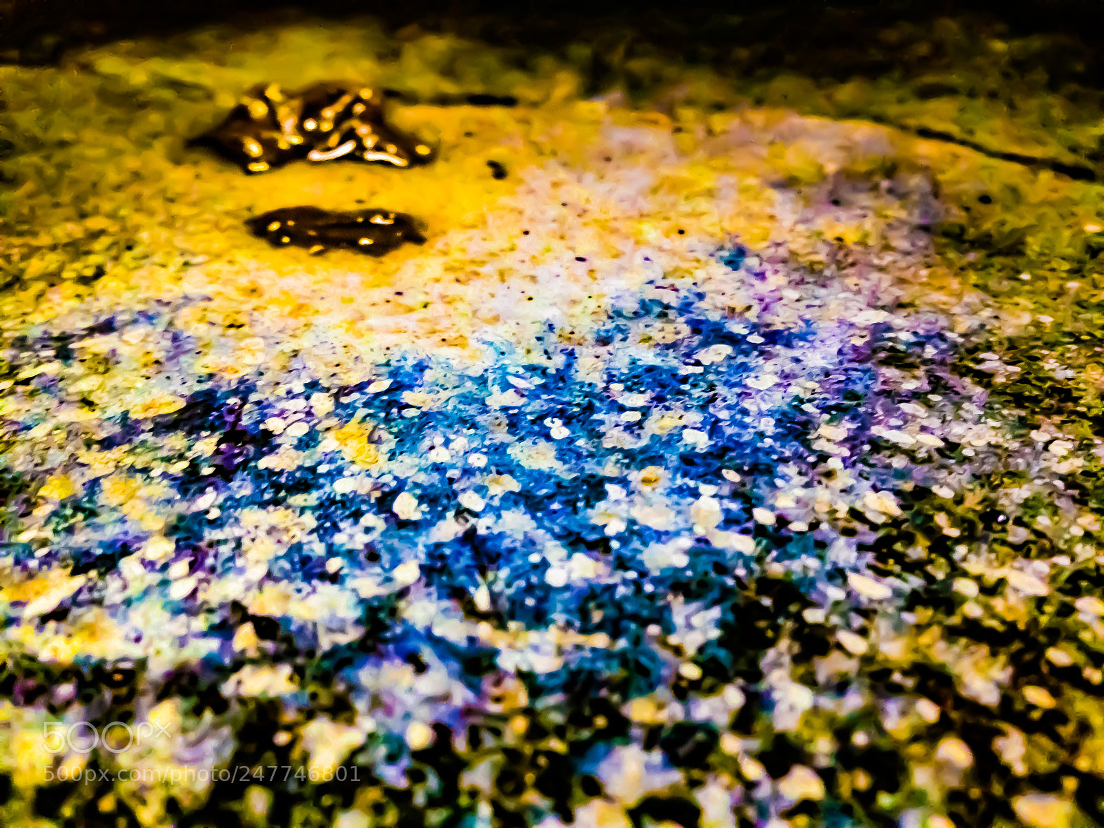 Apple iPhone 5c sample photo. Fake frog in a photography