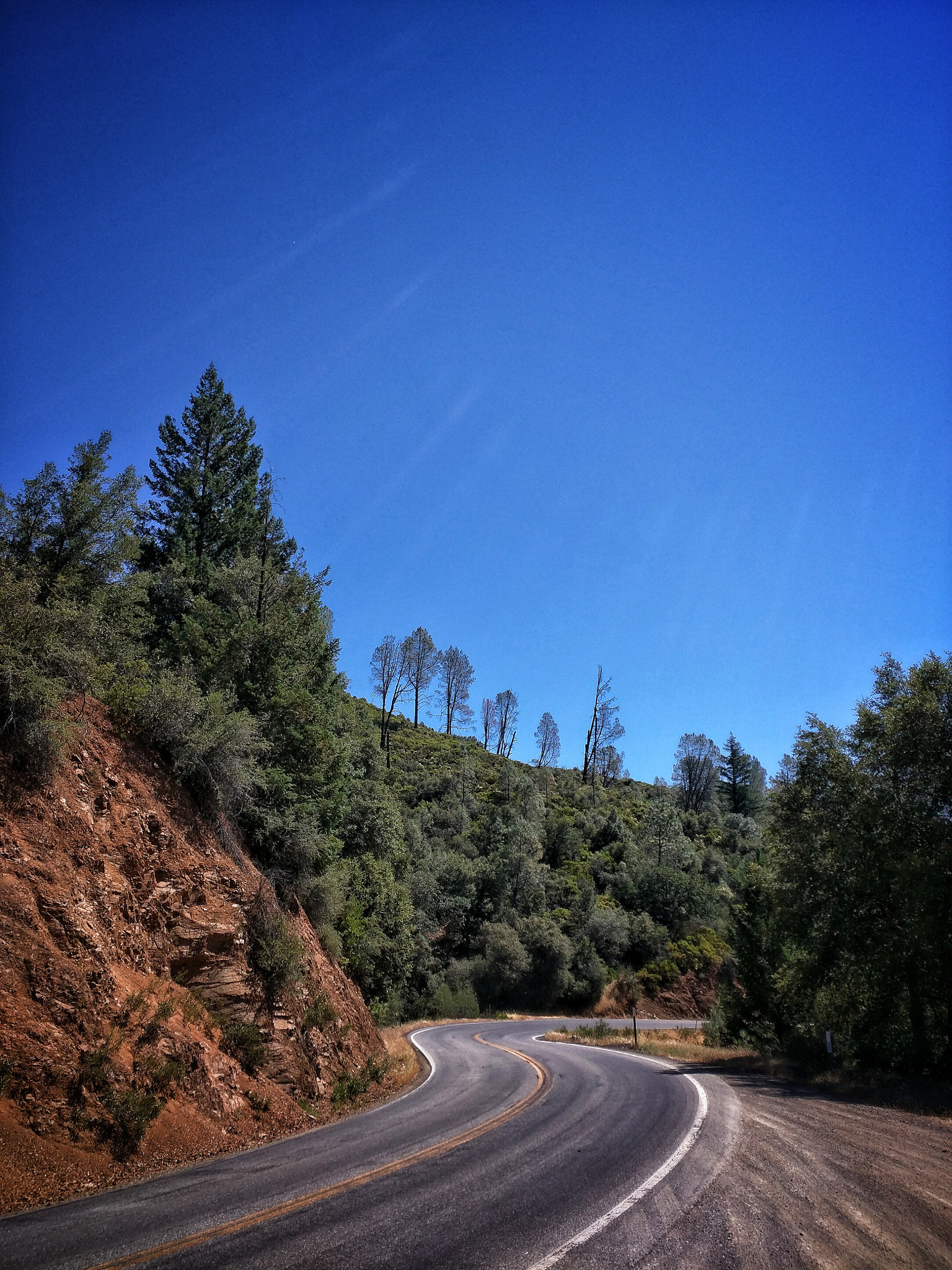 Motorola Nexus 6 sample photo. Platina rd. photography