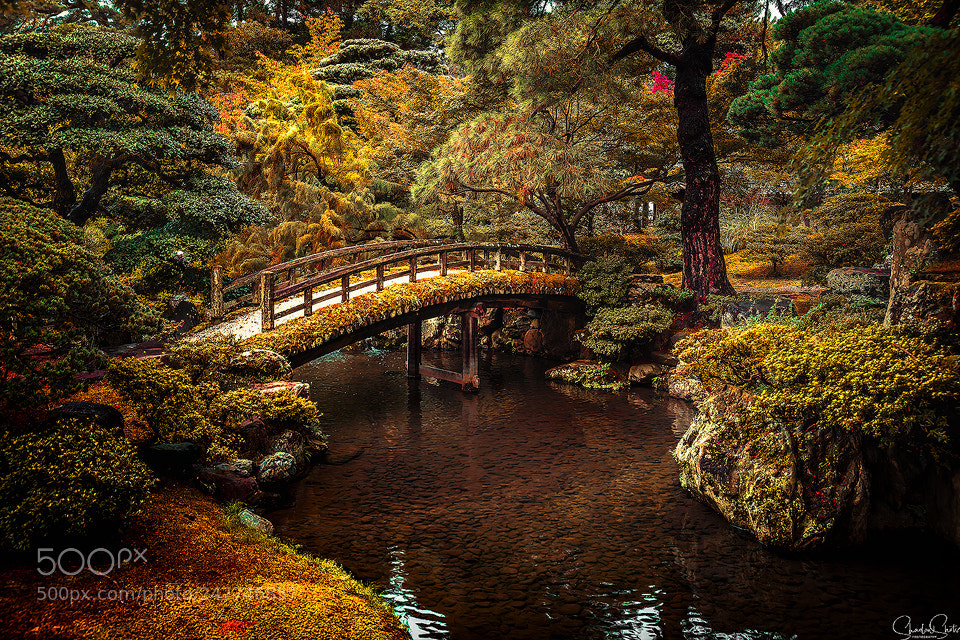 Canon EOS 5DS R sample photo. “imperial gardens” ©2018 photography