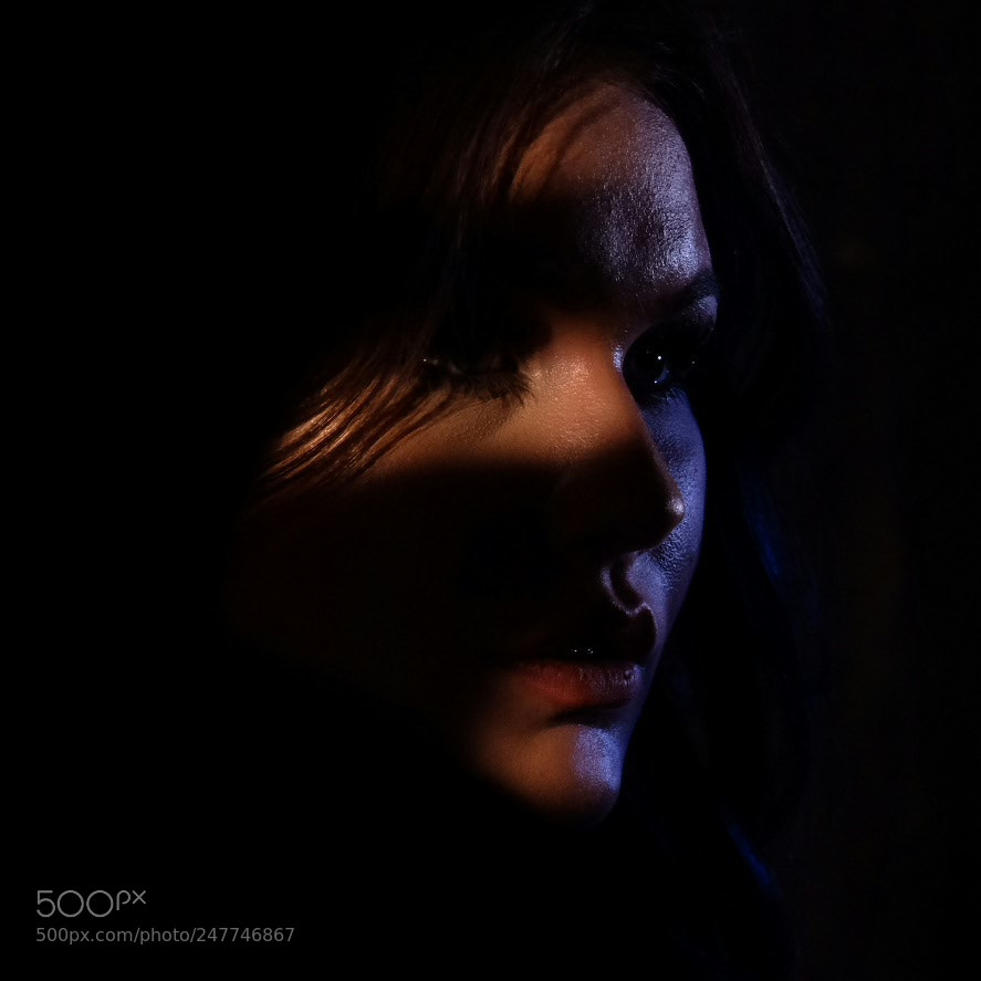Fujifilm X-T2 sample photo. Untitled photography