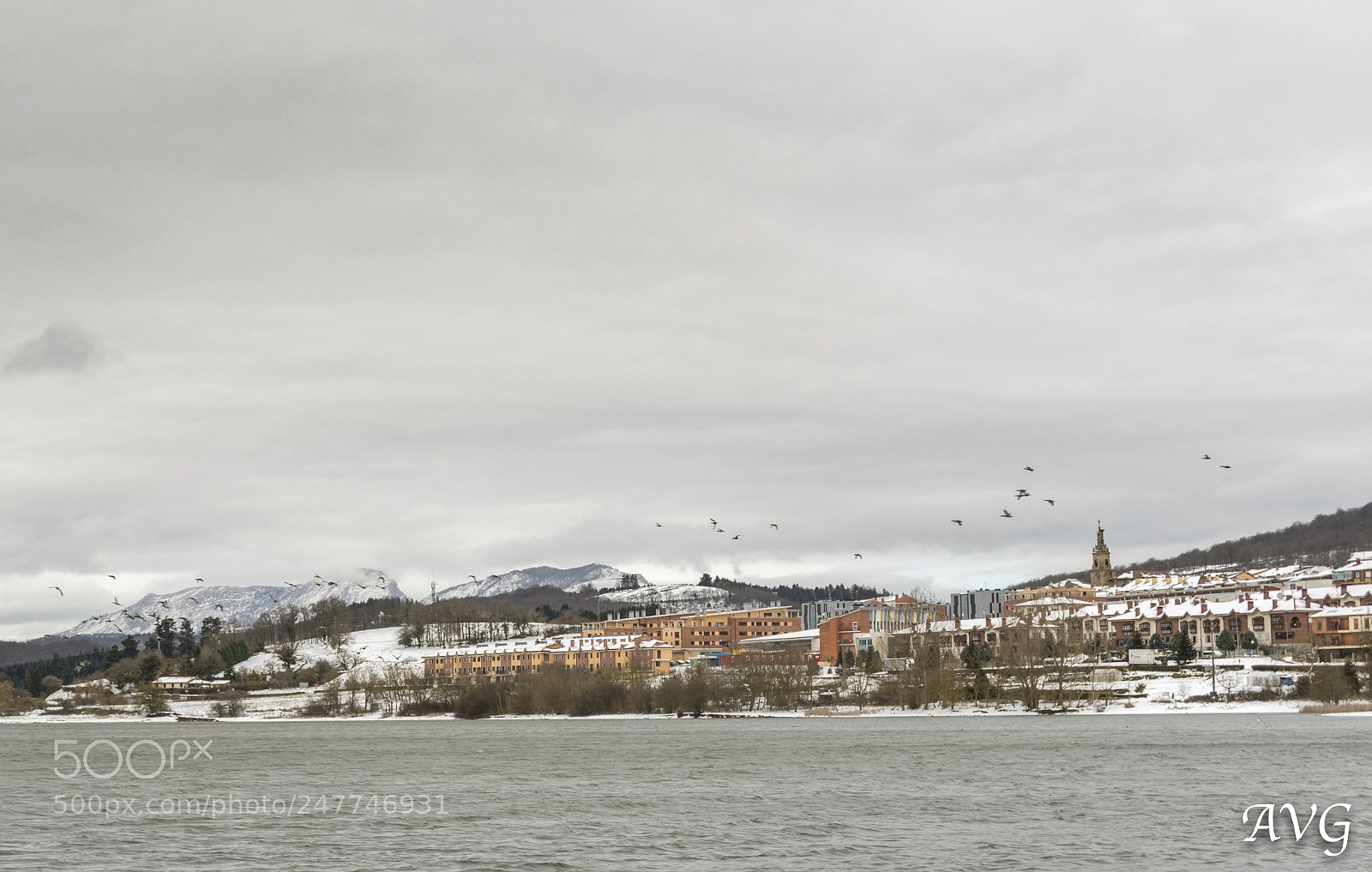 Nikon D7500 sample photo. Al vuelo photography