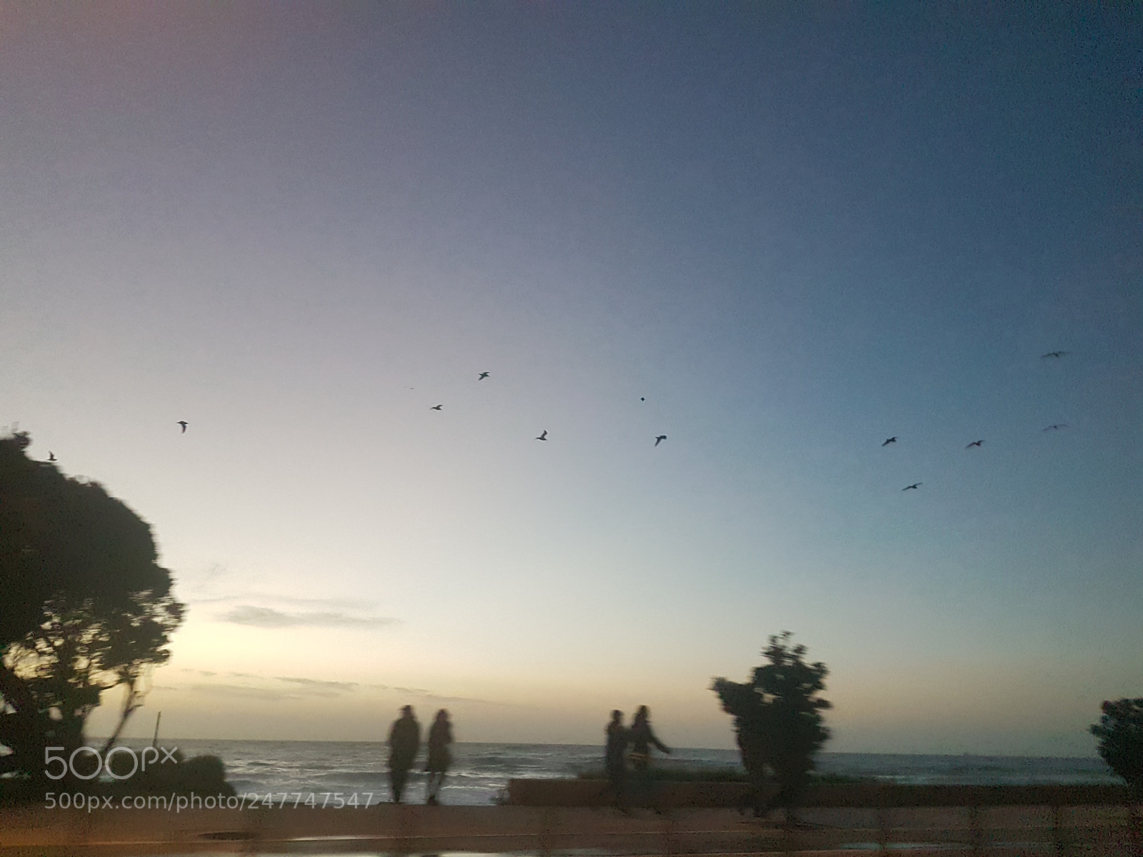 Samsung Galaxy S7 Edge sample photo. 20171231_173747.jpg photography