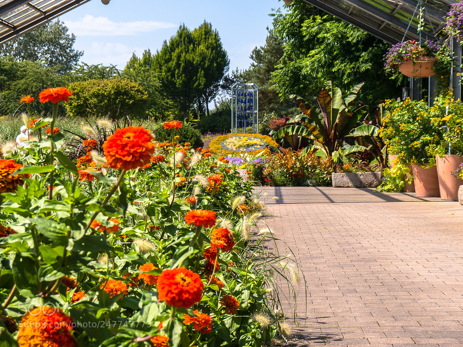 Panasonic Lumix DMC-G5 sample photo. Im blumenpark photography