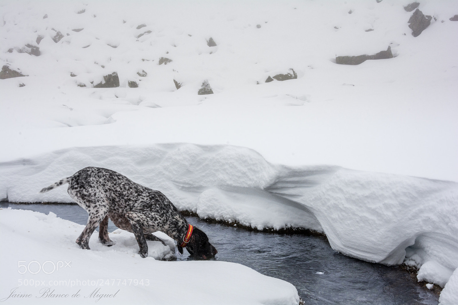 Nikon D7100 sample photo. Bebiendo frio photography