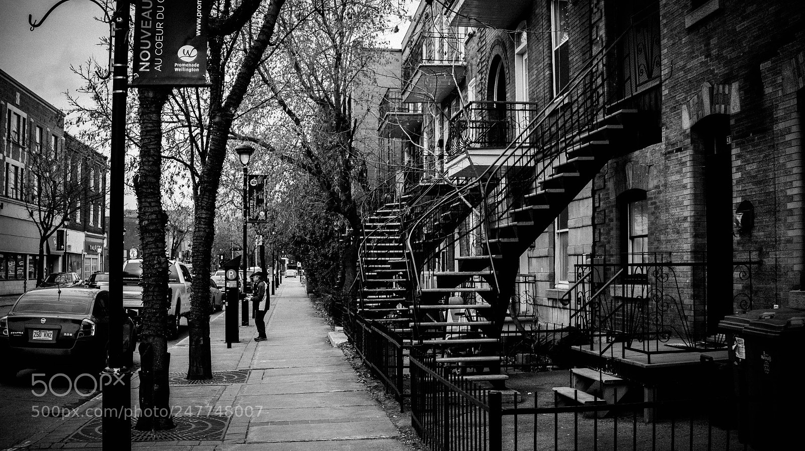 Sony Alpha a3500 sample photo. Montreal photography