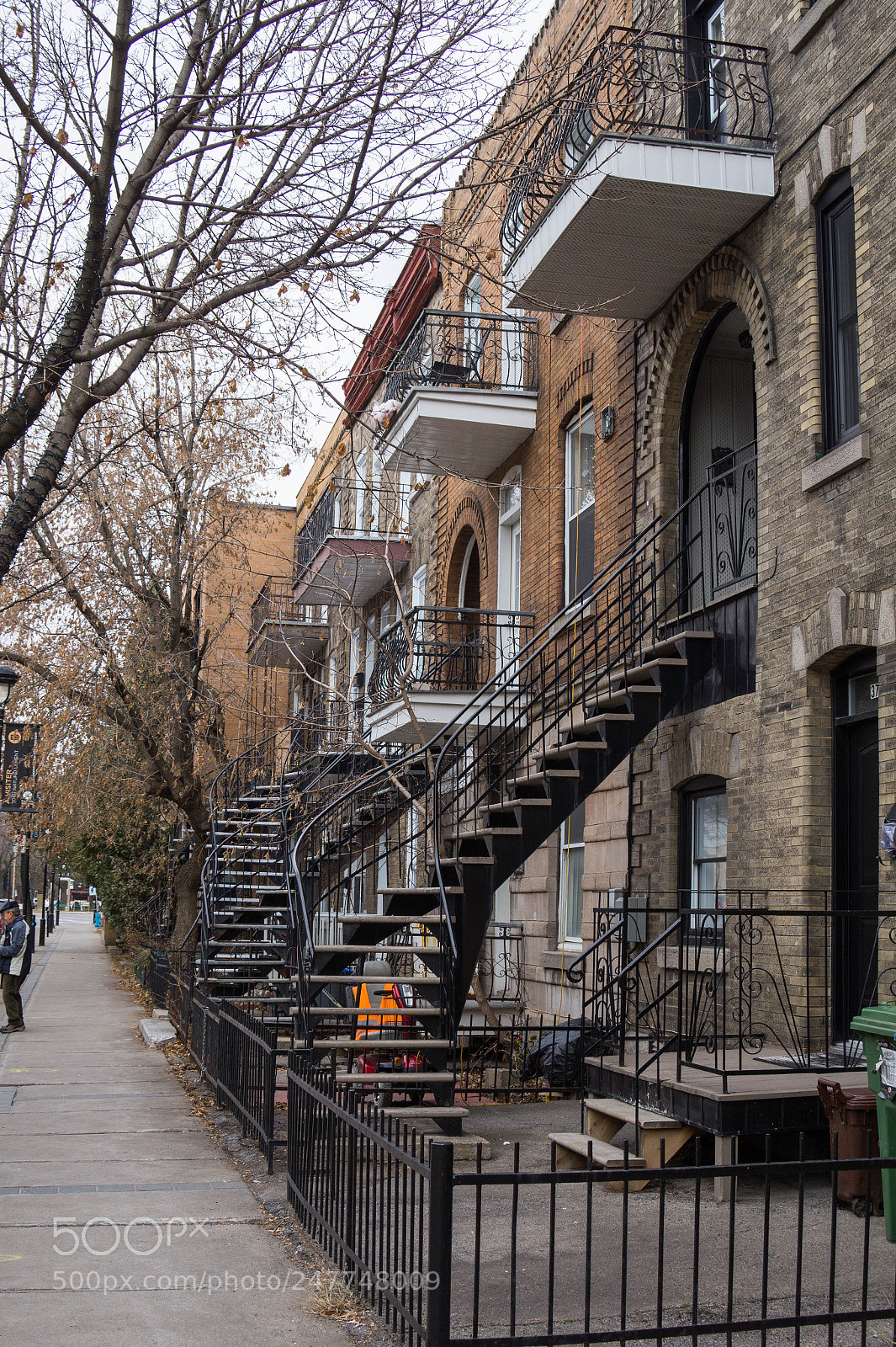 Sony Alpha a3500 sample photo. Montreal photography