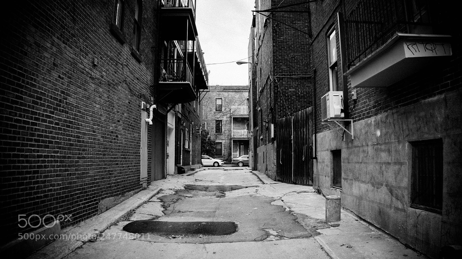 Sony Alpha a3500 sample photo. Montreal photography