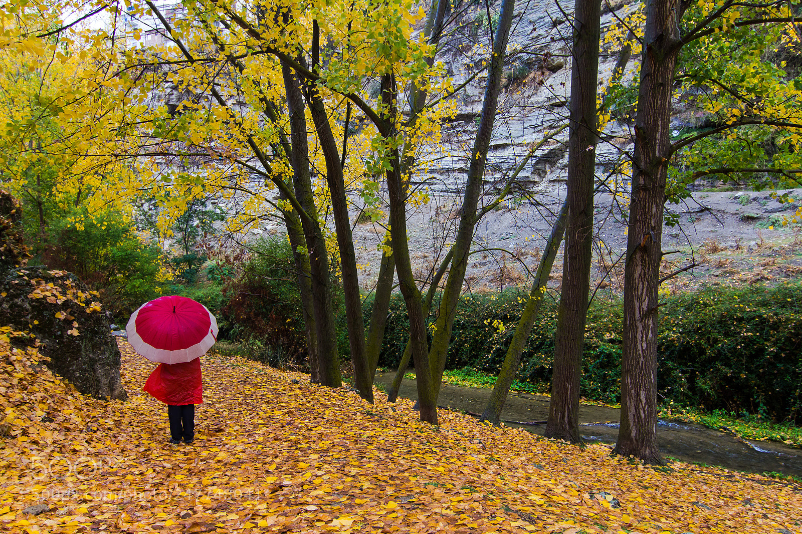 Canon EOS 60D sample photo. Img photography