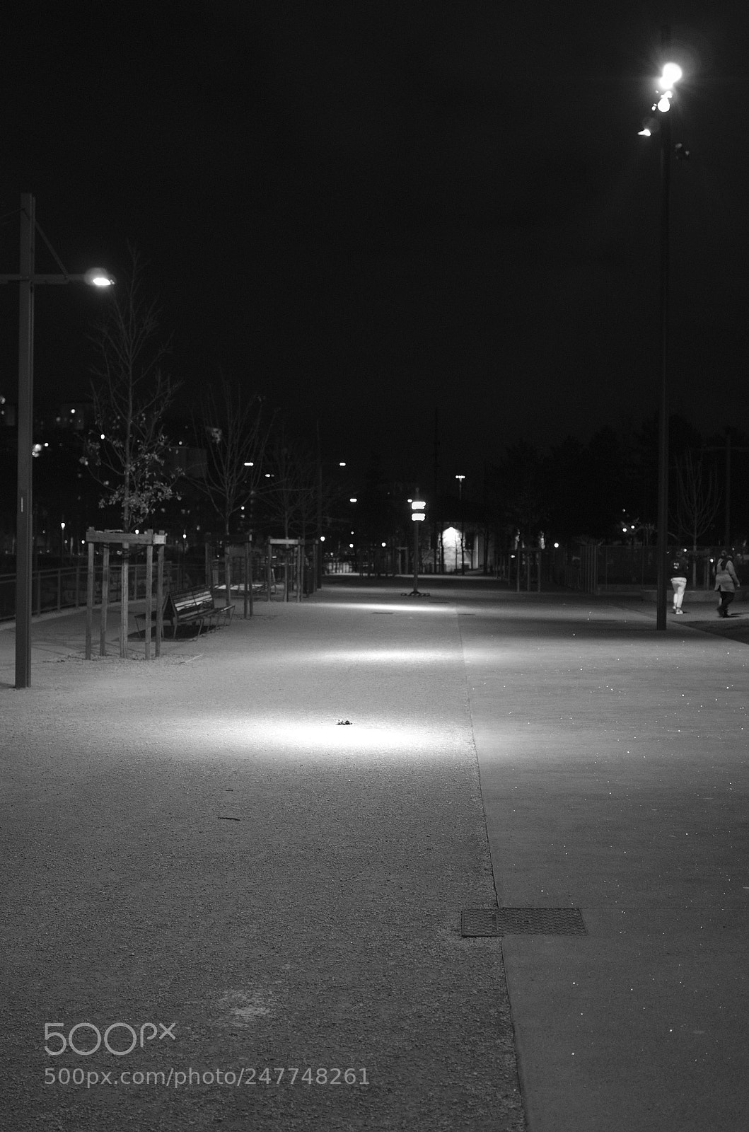 Pentax K-50 sample photo. Img photography