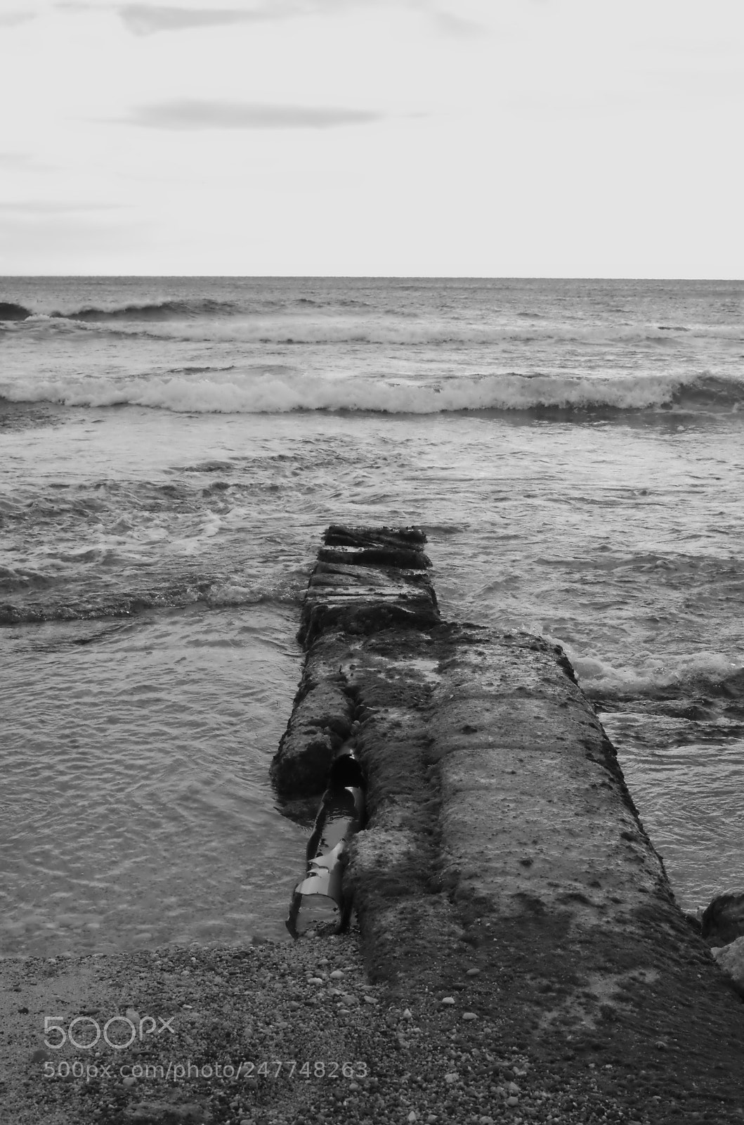 Pentax K-50 sample photo. Img photography