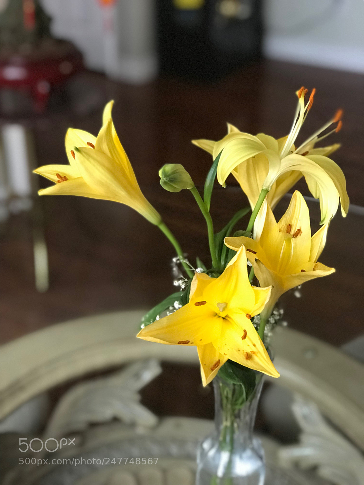 Apple iPhone 7 Plus sample photo. Untitled photography