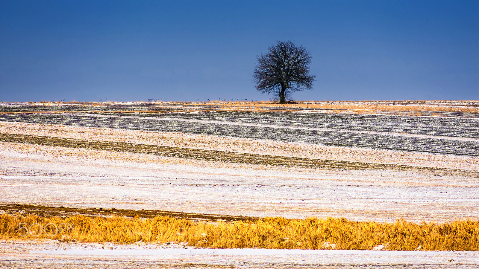 Nikon D7200 sample photo. Colours of winter photography