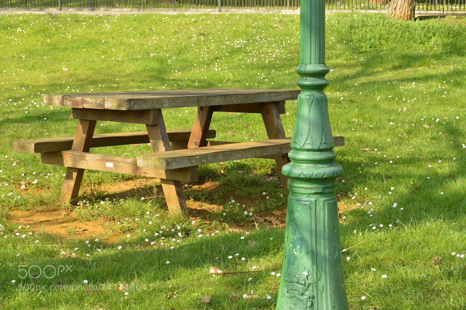 Nikon D3200 sample photo. Green photography
